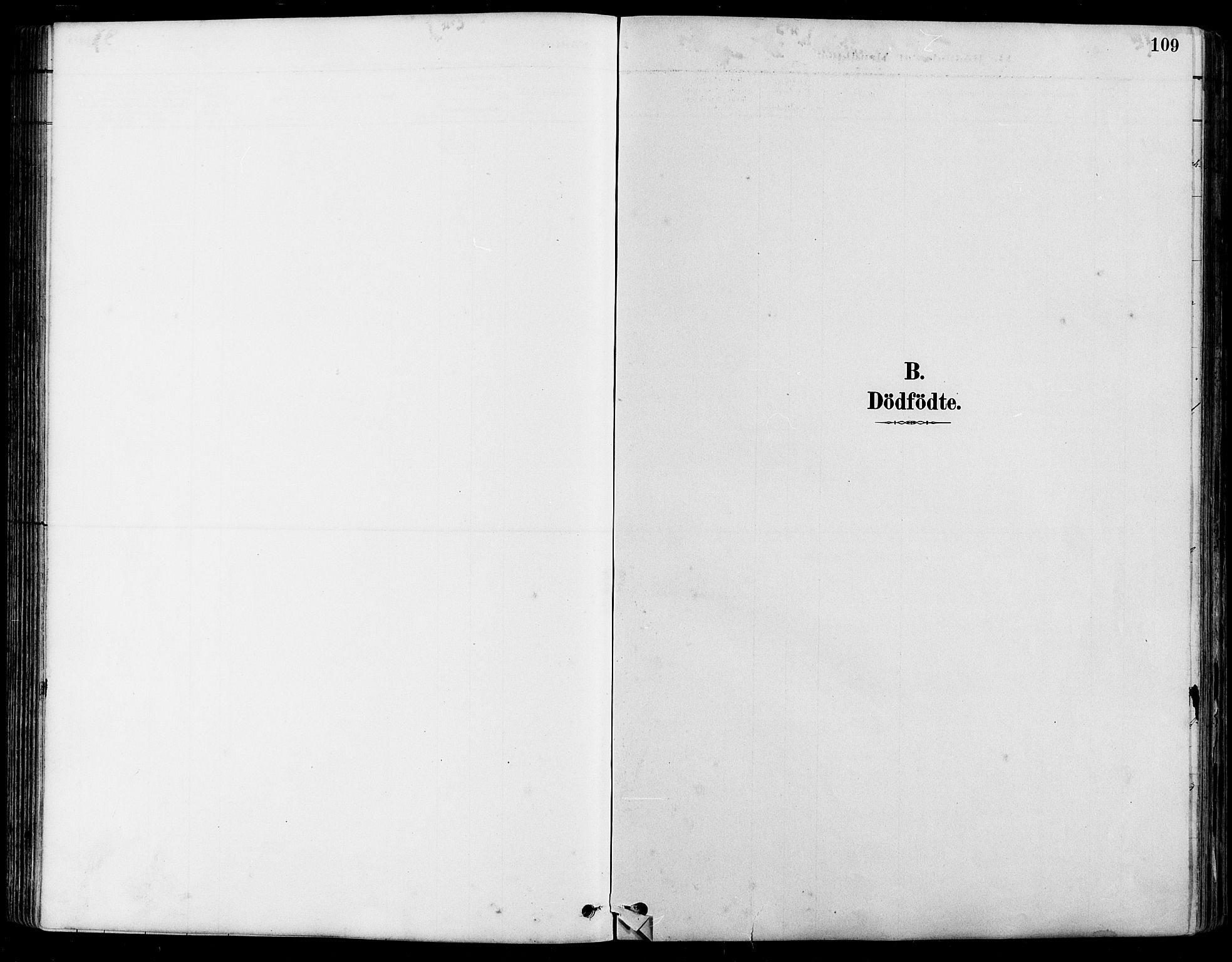 Nord-Fron prestekontor, SAH/PREST-080/H/Ha/Hab/L0005: Parish register (copy) no. 5, 1884-1914, p. 109