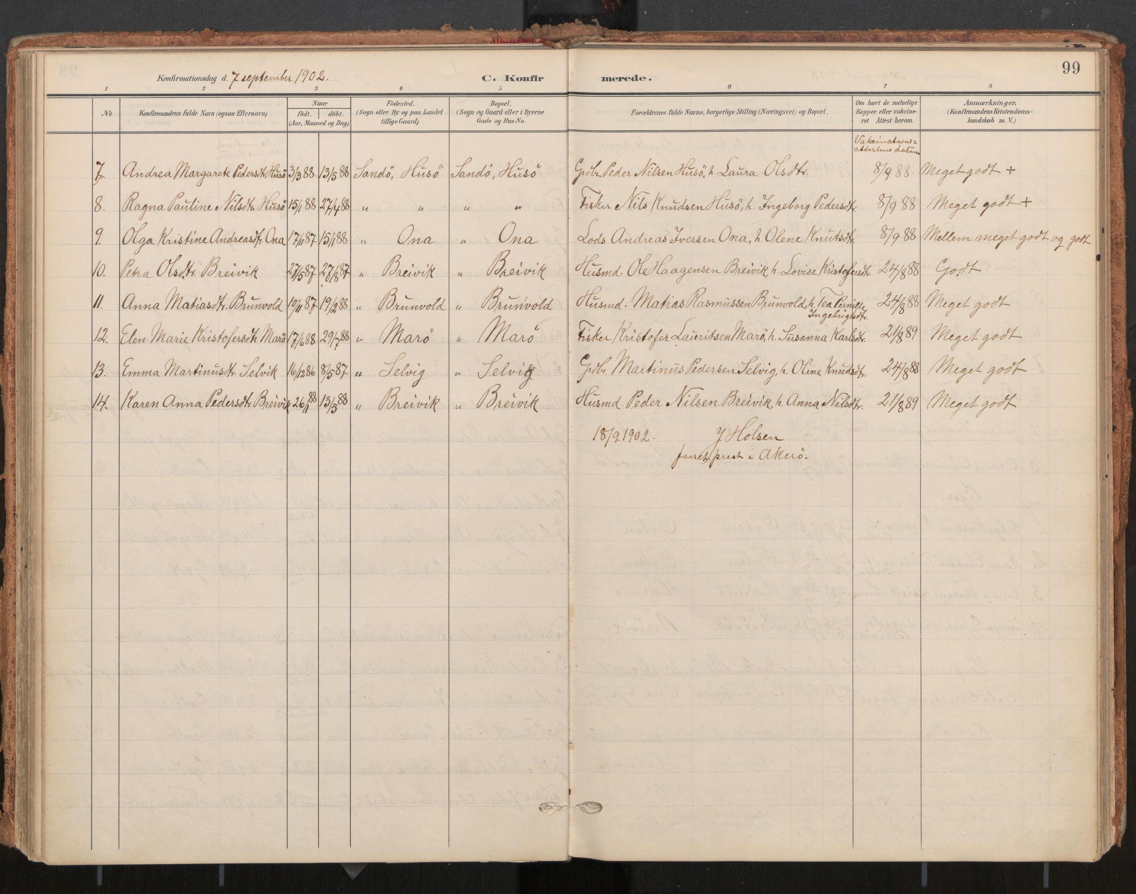 Ministerialprotokoller, klokkerbøker og fødselsregistre - Møre og Romsdal, AV/SAT-A-1454/561/L0730: Parish register (official) no. 561A04, 1901-1929, p. 99