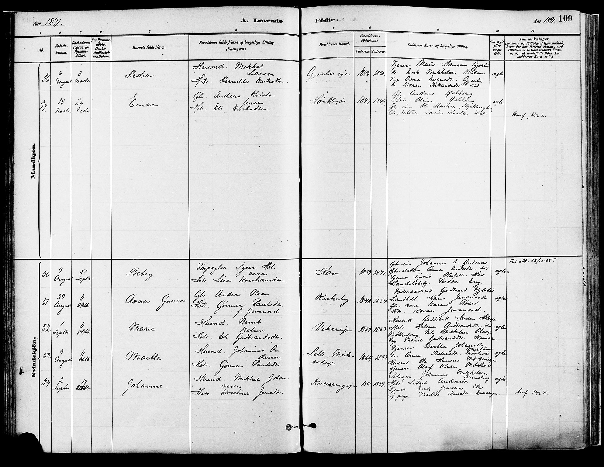 Vang prestekontor, Hedmark, AV/SAH-PREST-008/H/Ha/Haa/L0018A: Parish register (official) no. 18A, 1880-1906, p. 109