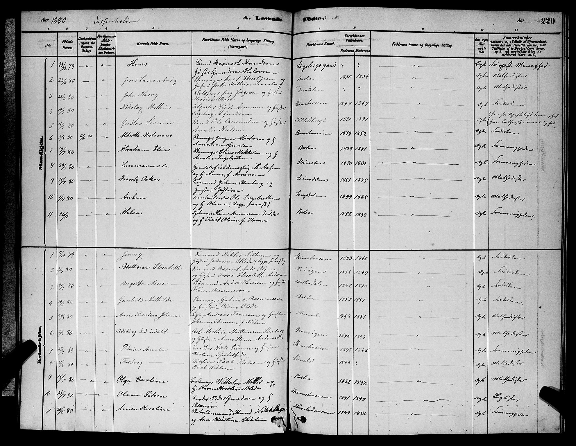 Barbu sokneprestkontor, AV/SAK-1111-0003/F/Fb/L0001: Parish register (copy) no. B 1, 1878-1890, p. 220