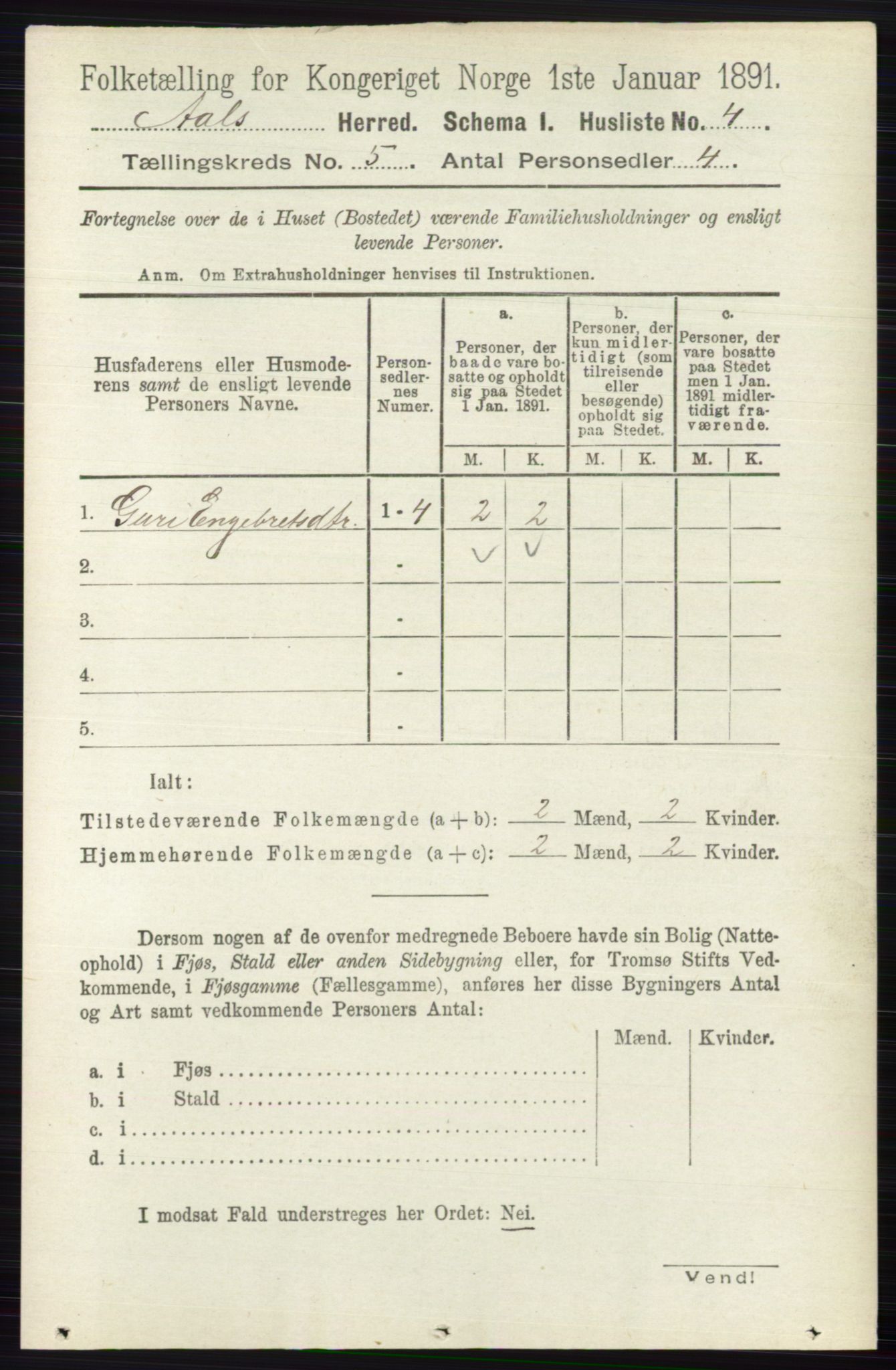 RA, 1891 census for 0619 Ål, 1891, p. 1339