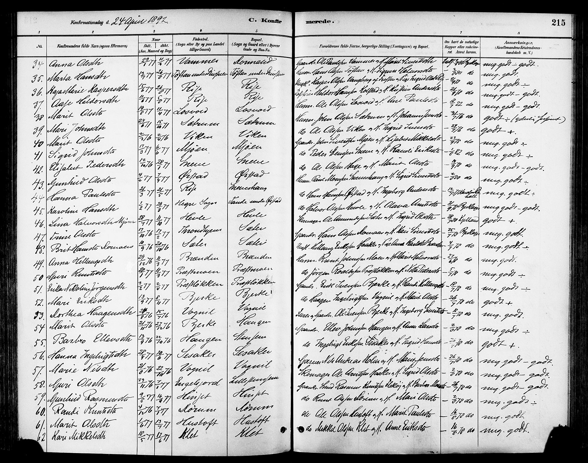 Ministerialprotokoller, klokkerbøker og fødselsregistre - Sør-Trøndelag, AV/SAT-A-1456/678/L0901: Parish register (official) no. 678A10, 1881-1894, p. 215