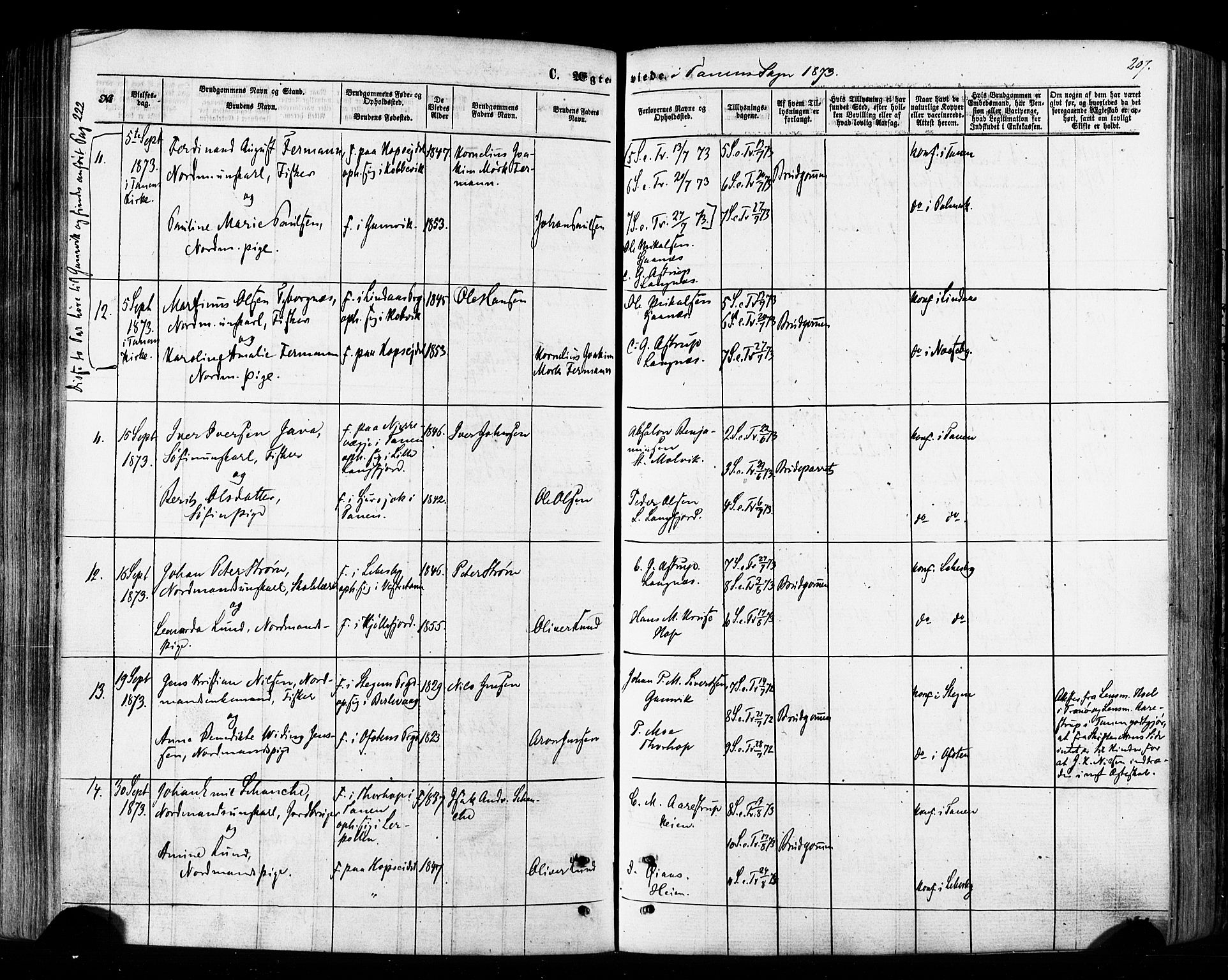 Tana sokneprestkontor, AV/SATØ-S-1334/H/Ha/L0002kirke: Parish register (official) no. 2 /1, 1861-1877, p. 207