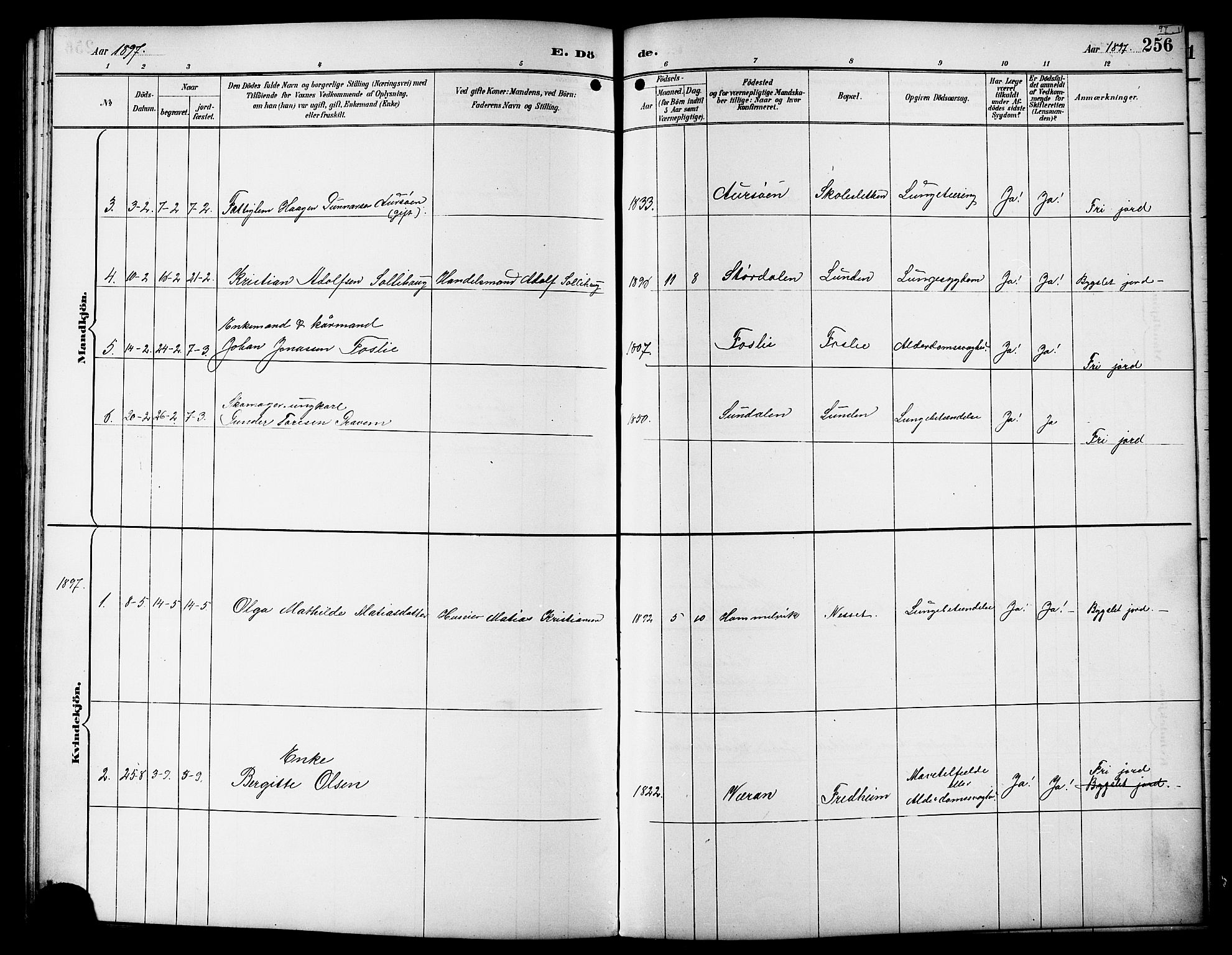 Ministerialprotokoller, klokkerbøker og fødselsregistre - Sør-Trøndelag, SAT/A-1456/617/L0431: Parish register (copy) no. 617C01, 1889-1910, p. 256