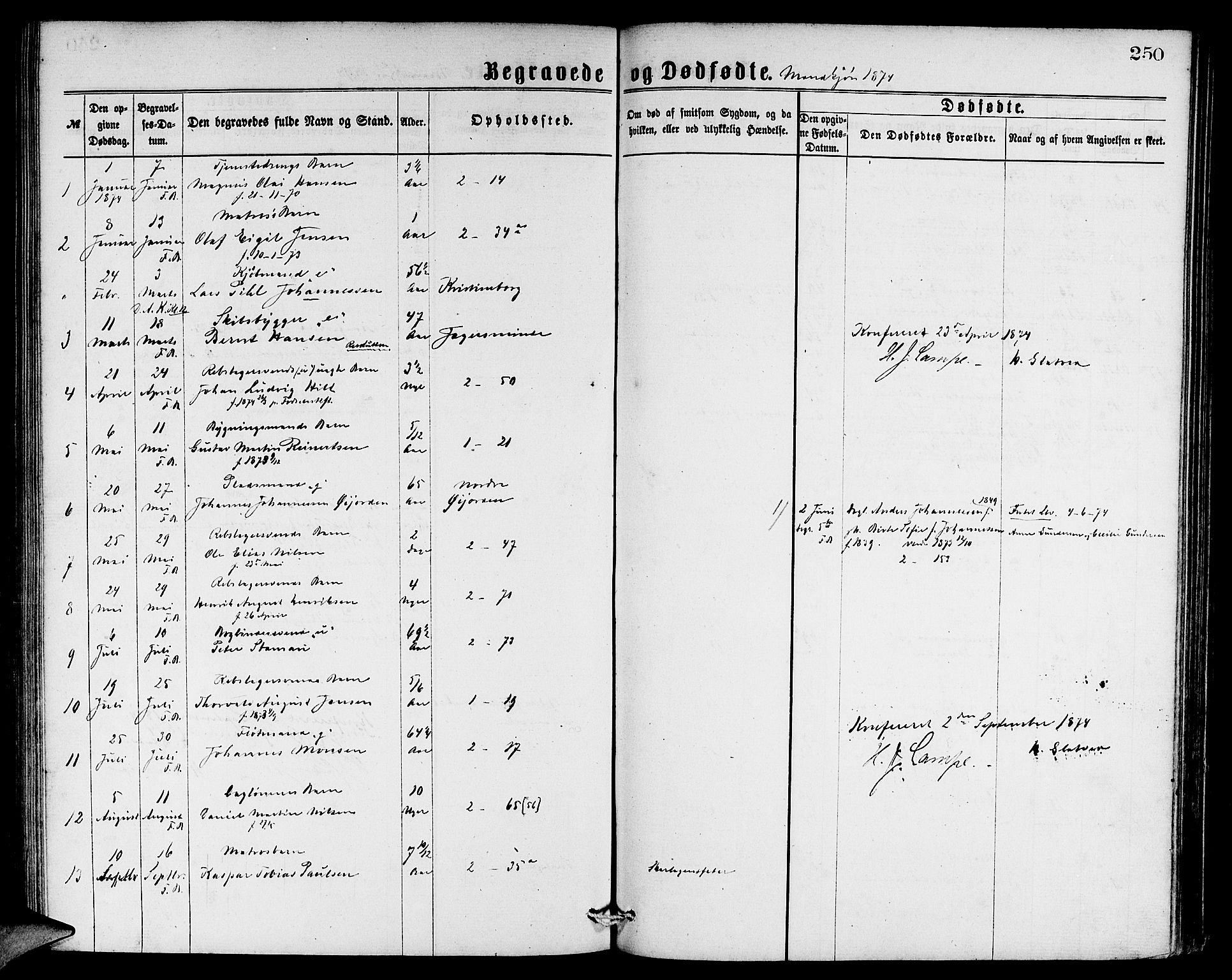 Sandviken Sokneprestembete, AV/SAB-A-77601/H/Hb: Parish register (copy) no. A 1, 1867-1879, p. 250