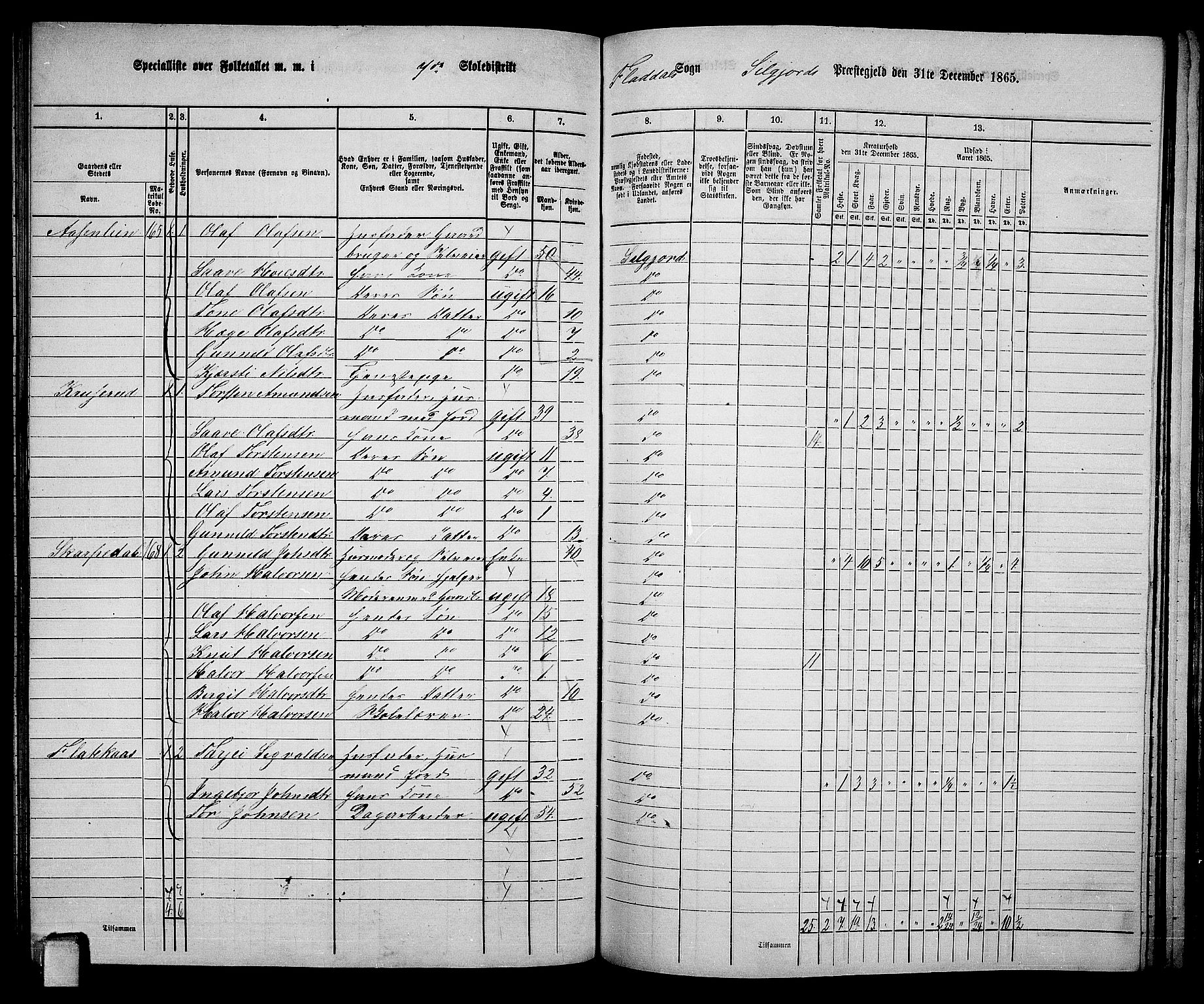 RA, 1865 census for Seljord, 1865, p. 105