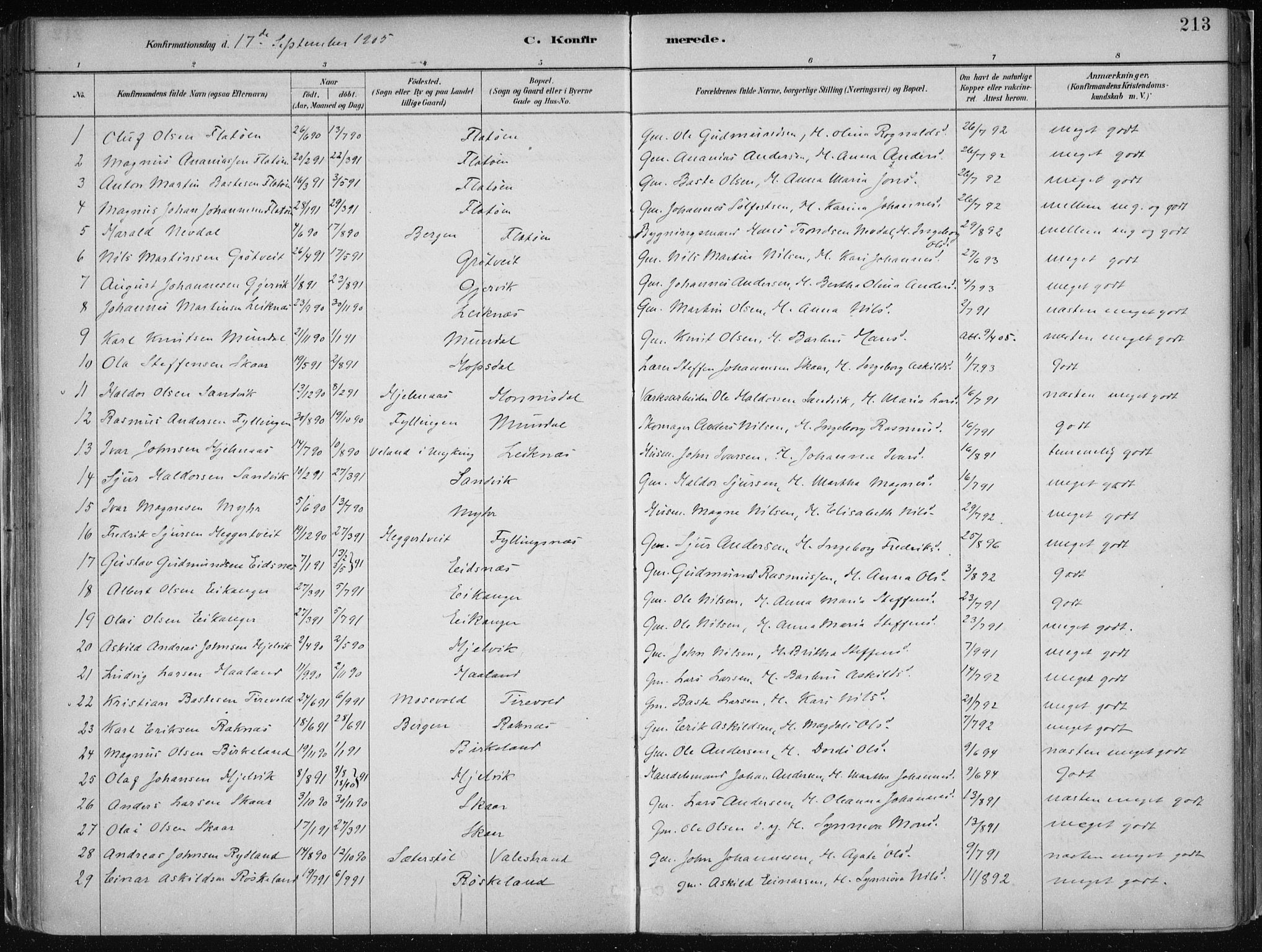 Hamre sokneprestembete, AV/SAB-A-75501/H/Ha/Haa/Haab/L0001: Parish register (official) no. B  1, 1882-1905, p. 213