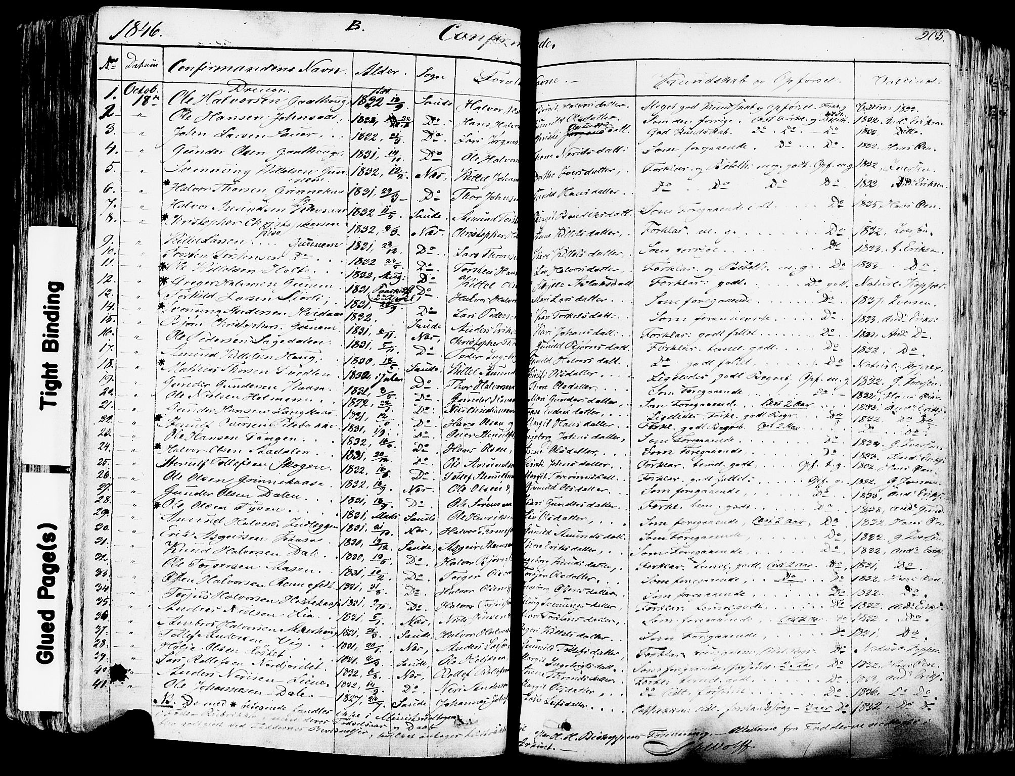 Sauherad kirkebøker, AV/SAKO-A-298/F/Fa/L0006: Parish register (official) no. I 6, 1827-1850, p. 205