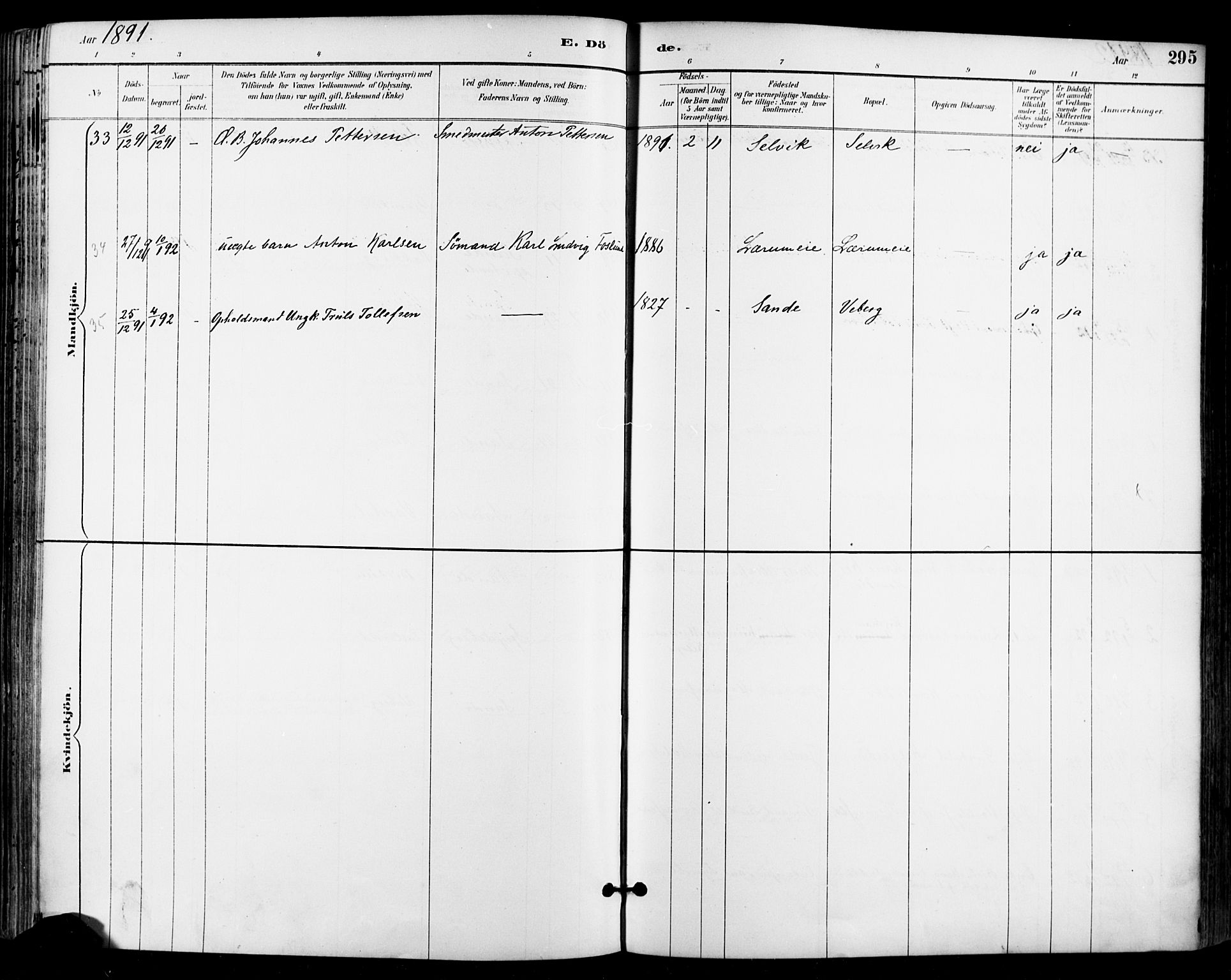 Sande Kirkebøker, AV/SAKO-A-53/F/Fa/L0007: Parish register (official) no. 7, 1888-1903, p. 295