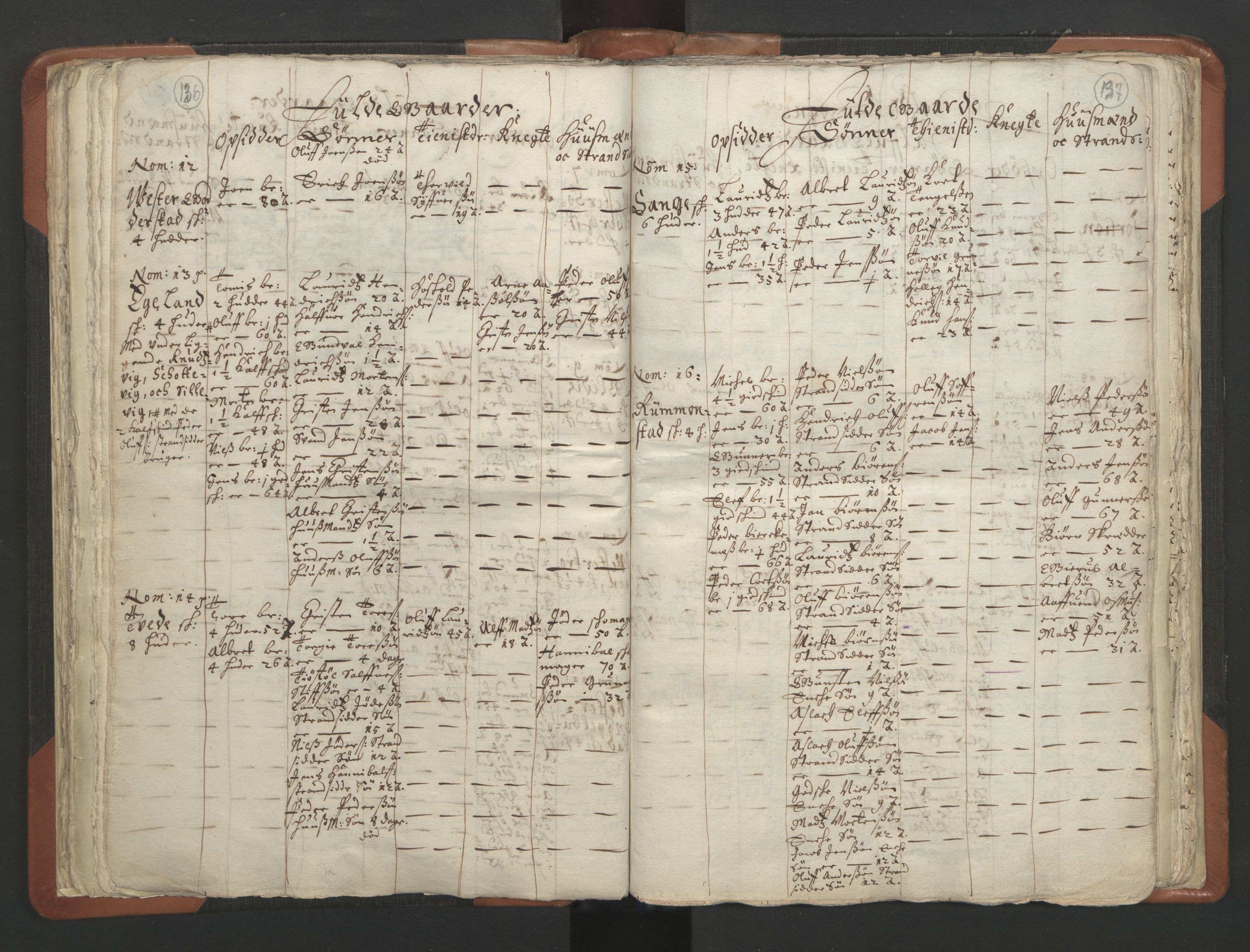 RA, Vicar's Census 1664-1666, no. 13: Nedenes deanery, 1664-1666, p. 136-137