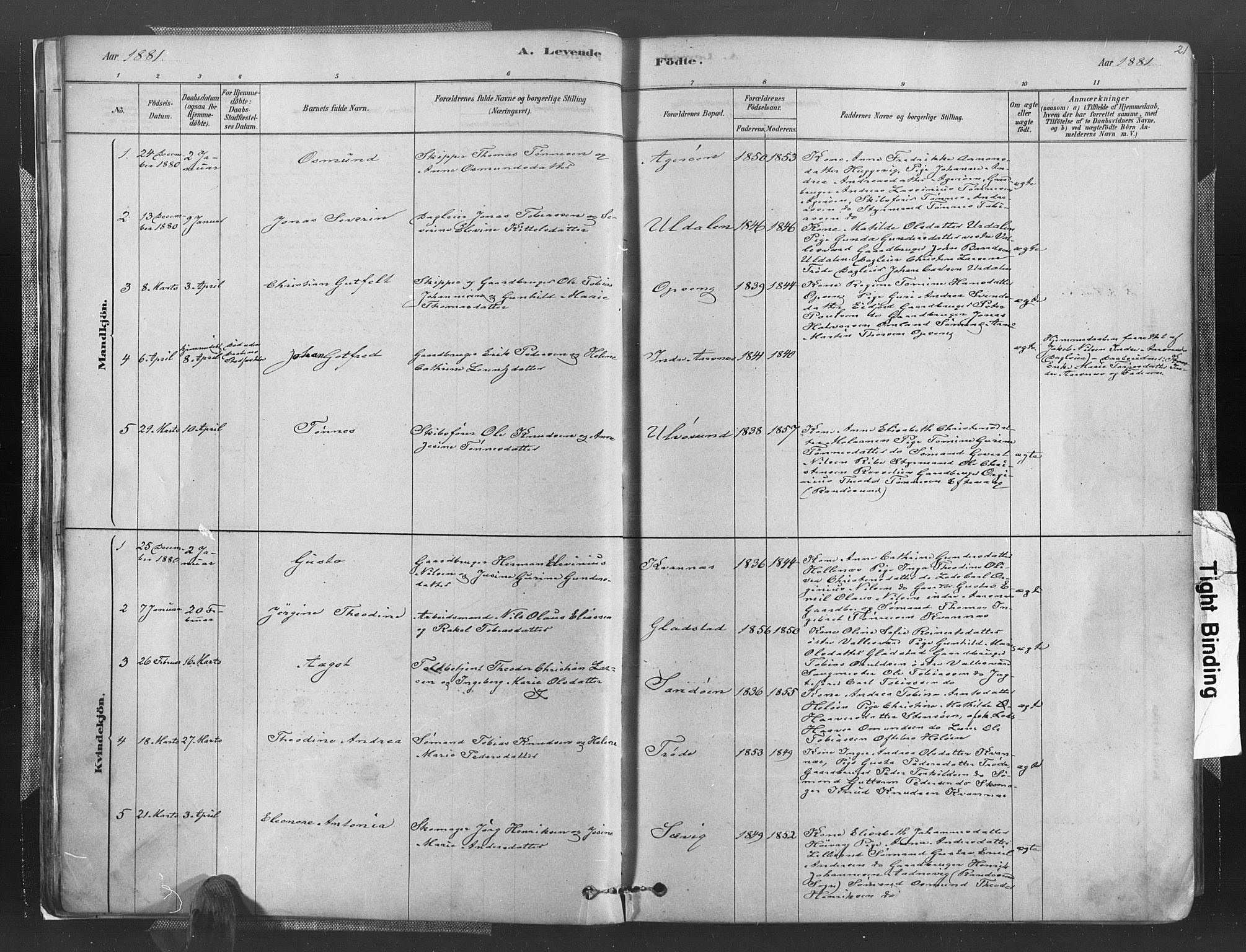 Høvåg sokneprestkontor, SAK/1111-0025/F/Fa/L0005: Parish register (official) no. A 5, 1878-1893, p. 21