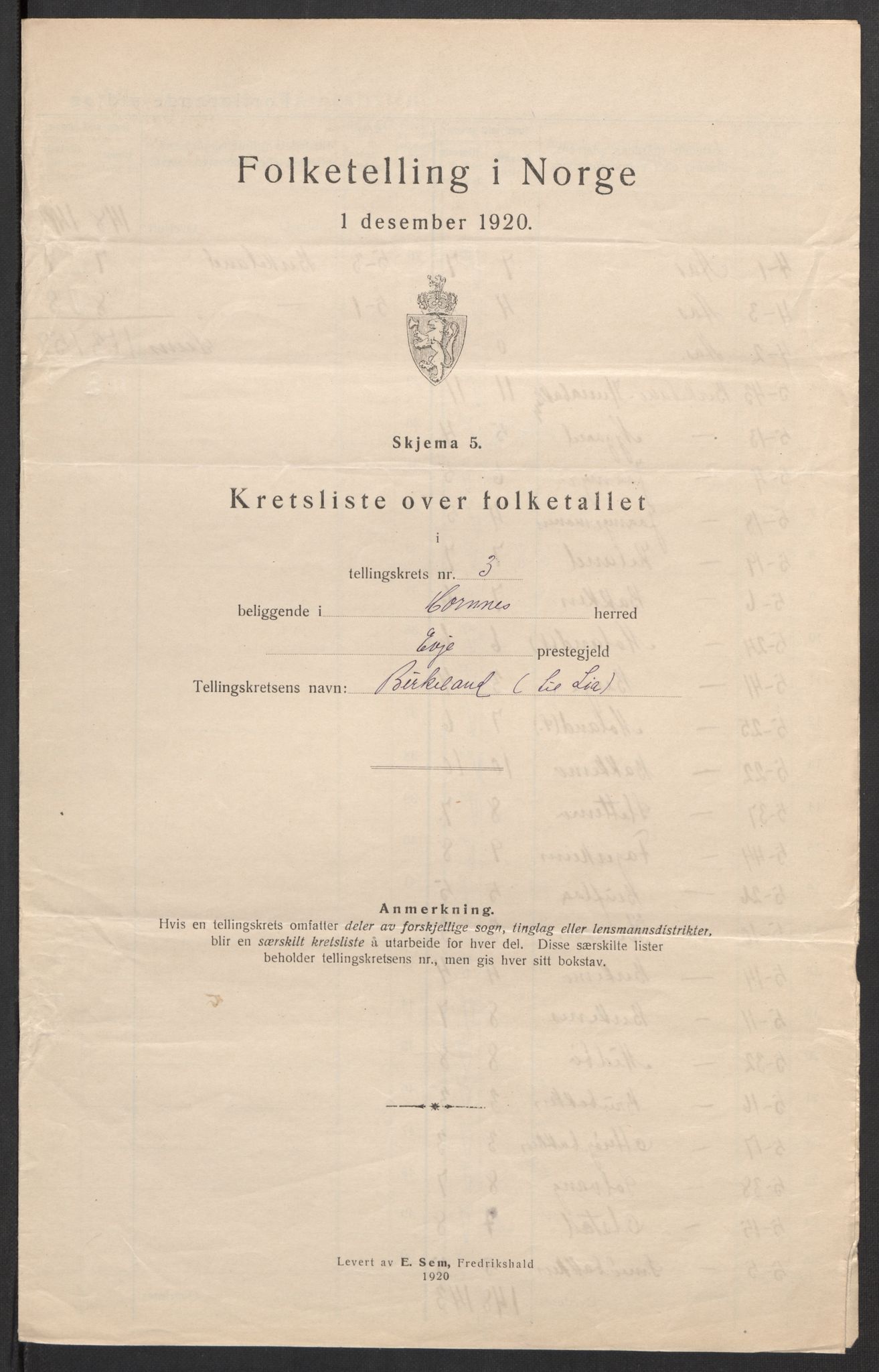 SAK, 1920 census for Hornnes, 1920, p. 17