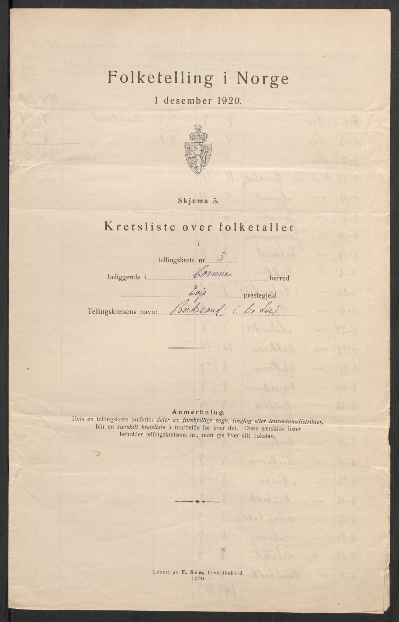 SAK, 1920 census for Hornnes, 1920, p. 17