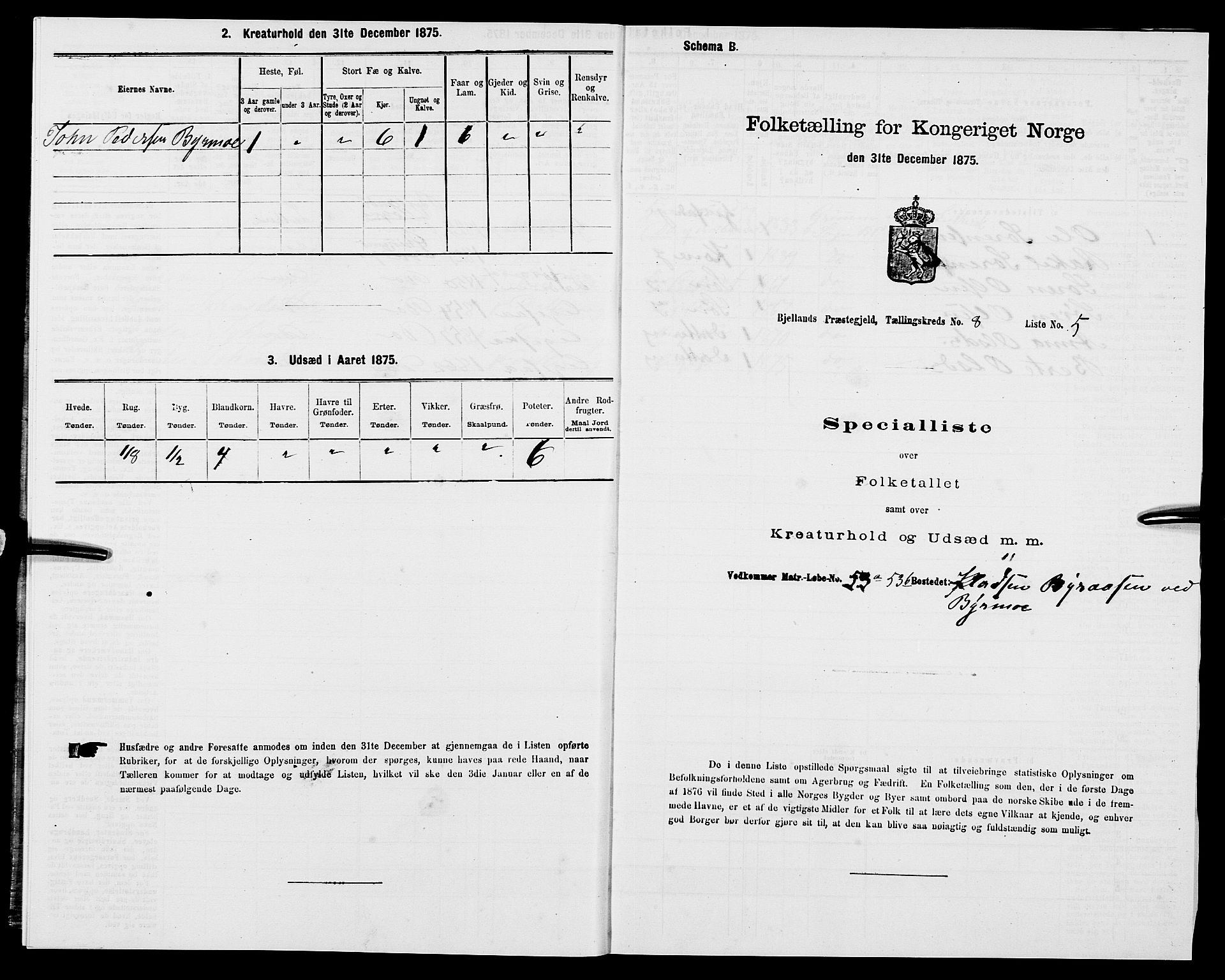 SAK, 1875 census for 1024P Bjelland, 1875, p. 516