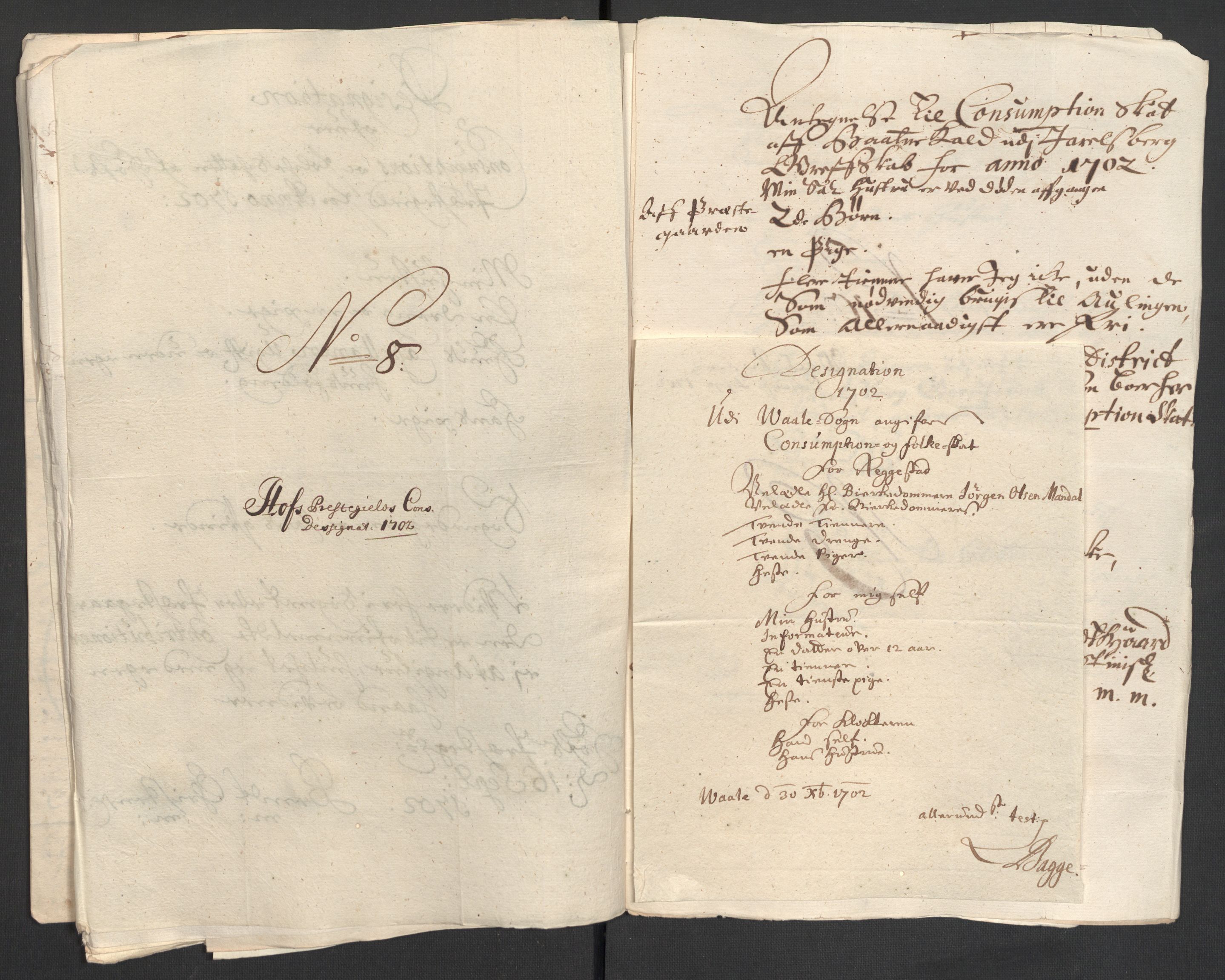 Rentekammeret inntil 1814, Reviderte regnskaper, Fogderegnskap, RA/EA-4092/R32/L1870: Fogderegnskap Jarlsberg grevskap, 1702, p. 181