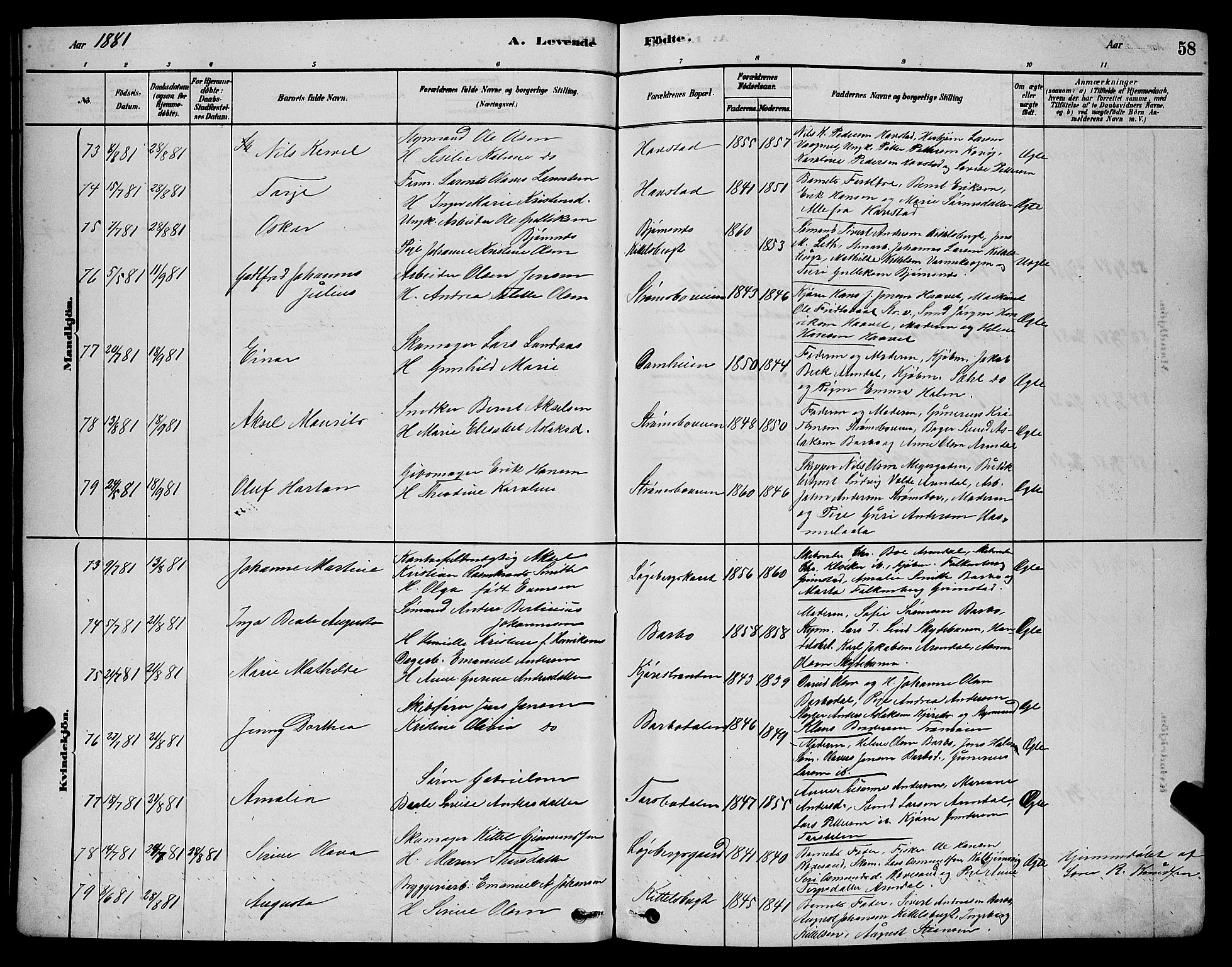 Barbu sokneprestkontor, AV/SAK-1111-0003/F/Fb/L0001: Parish register (copy) no. B 1, 1878-1890, p. 58