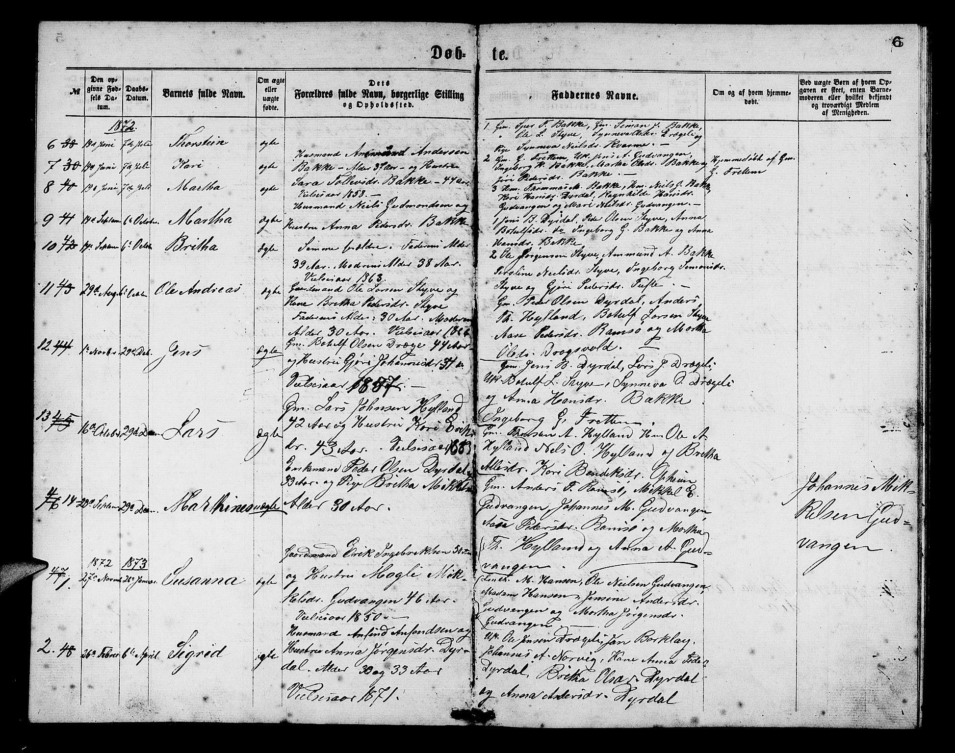 Aurland sokneprestembete, SAB/A-99937/H/Hb/Hbc/L0001: Parish register (copy) no. C 1, 1868-1883, p. 6