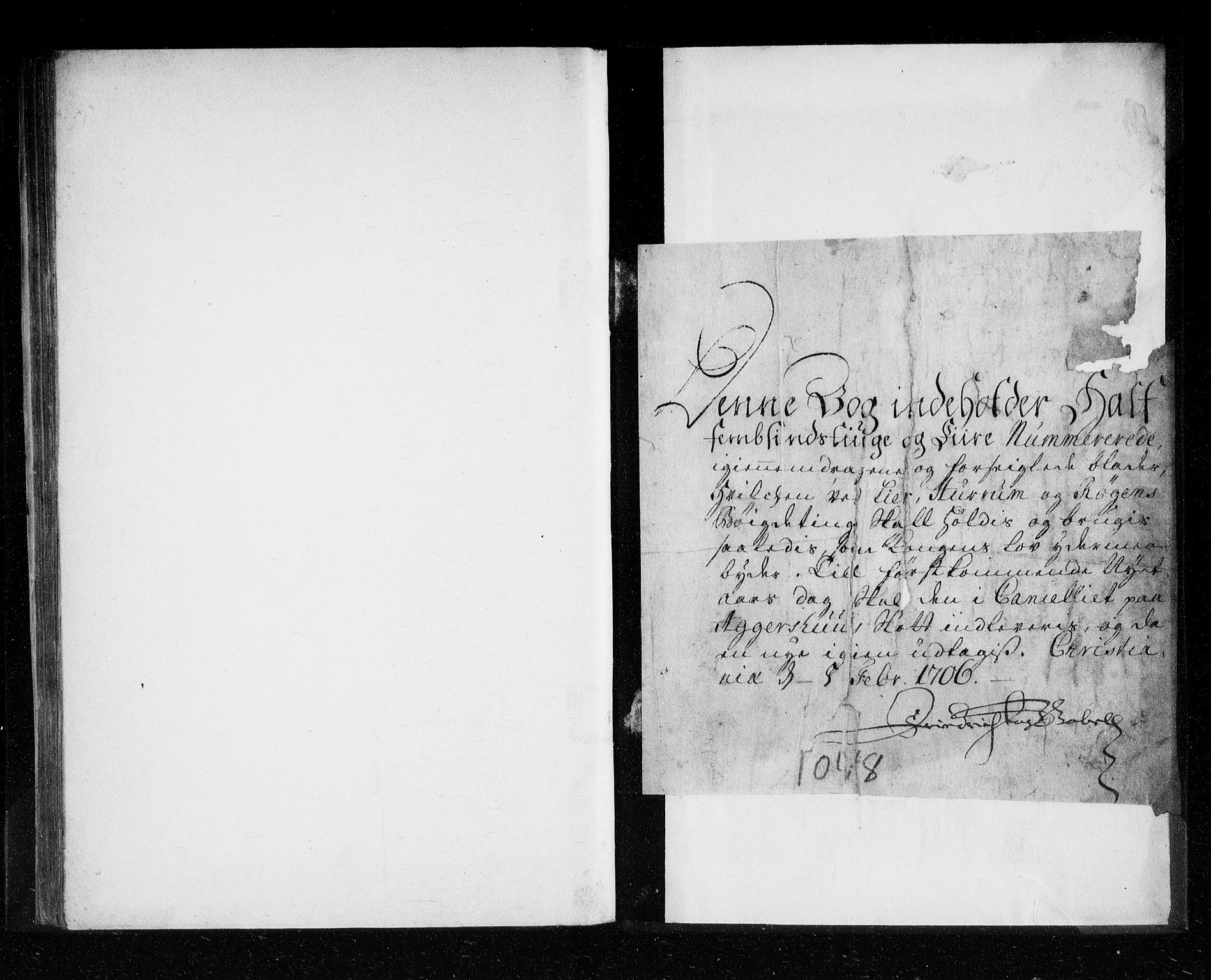 Lier, Røyken og Hurum sorenskriveri, SAKO/A-89/F/Fa/L0041: Tingbok, 1706-1707