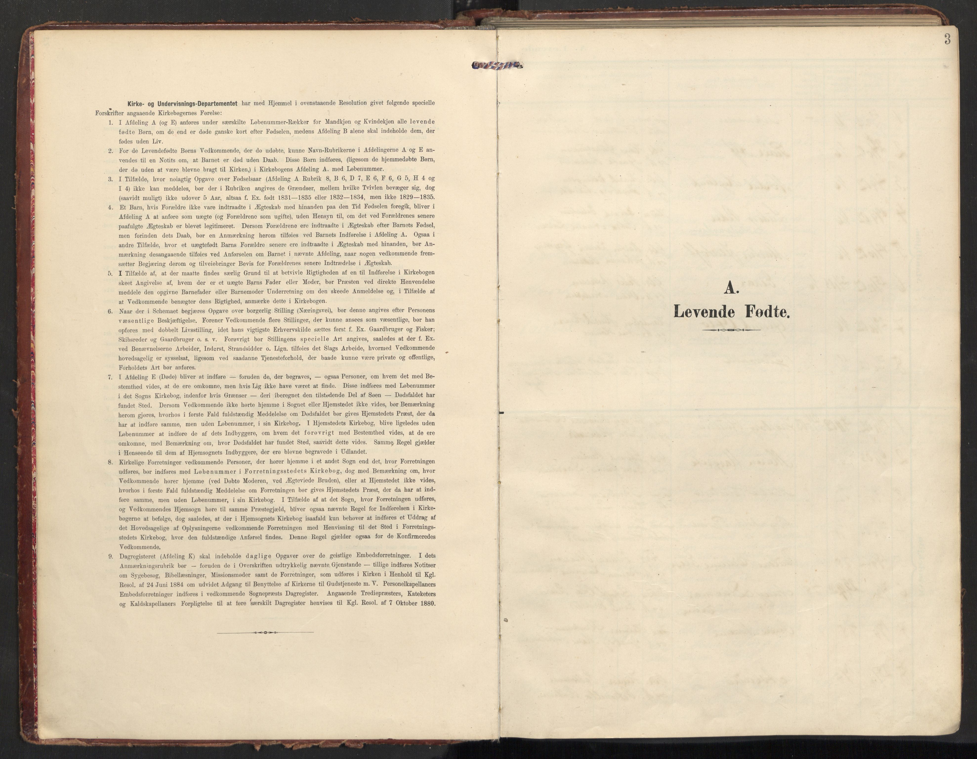 Ministerialprotokoller, klokkerbøker og fødselsregistre - Nordland, SAT/A-1459/890/L1287: Parish register (official) no. 890A02, 1903-1915, p. 3