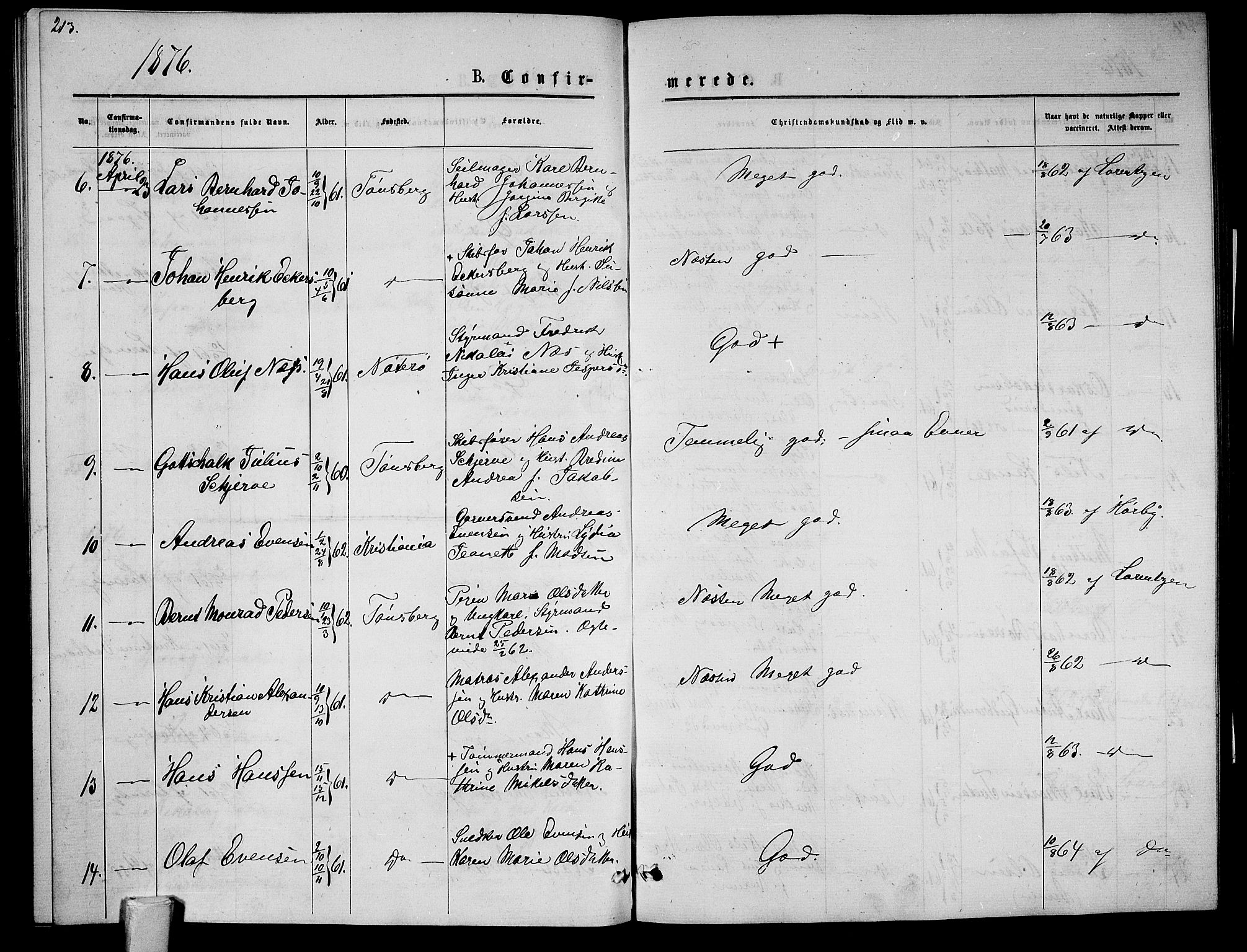 Tønsberg kirkebøker, AV/SAKO-A-330/G/Ga/L0005: Parish register (copy) no. 5, 1875-1885, p. 213