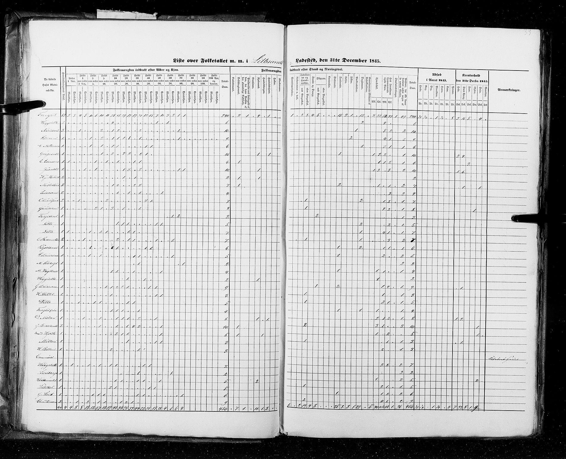 RA, Census 1845, vol. 11: Cities, 1845, p. 33