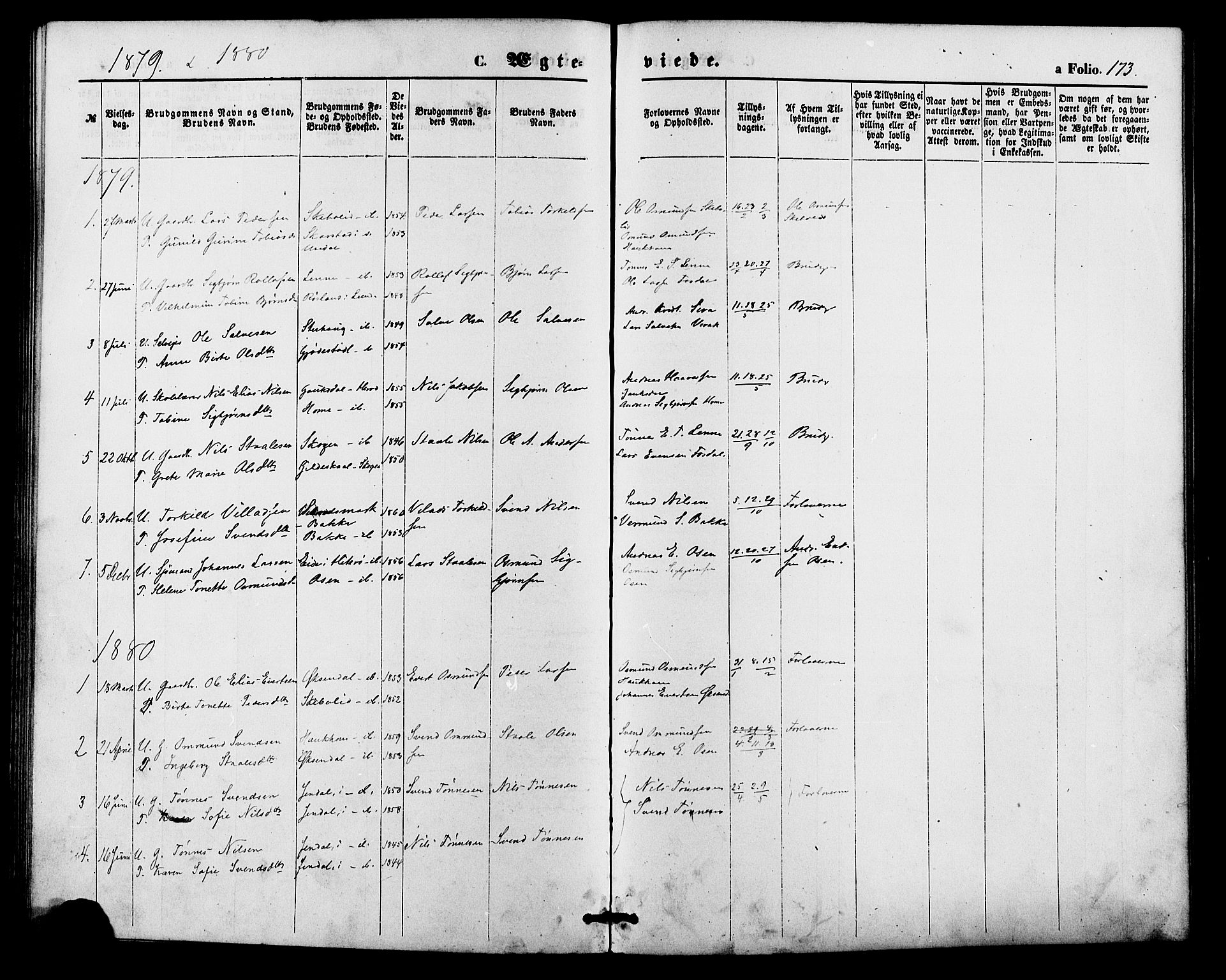 Bakke sokneprestkontor, SAK/1111-0002/F/Fa/Faa/L0007: Parish register (official) no. A 7, 1877-1886, p. 173