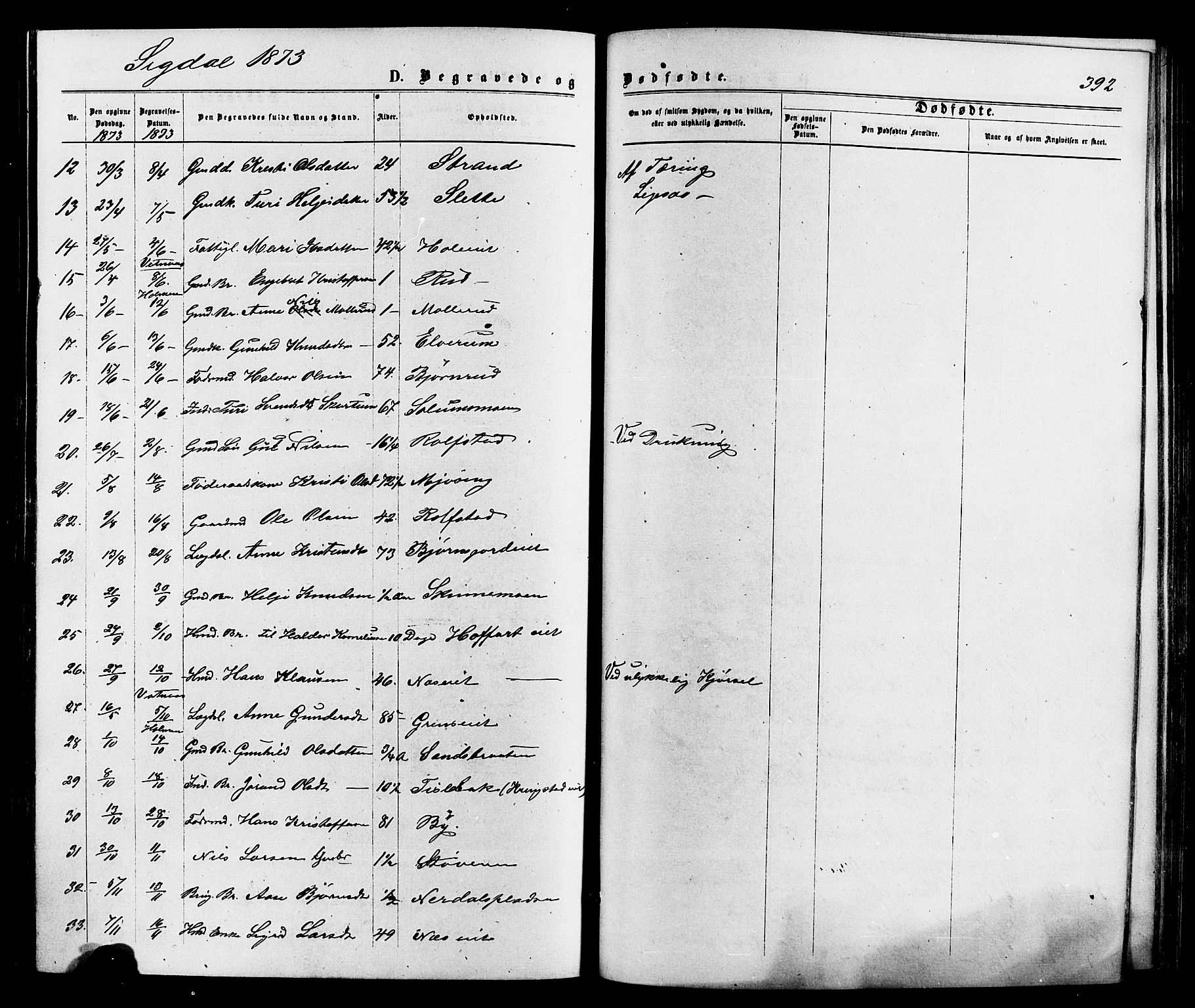 Sigdal kirkebøker, SAKO/A-245/F/Fa/L0010: Parish register (official) no. I 10 /1, 1872-1878, p. 392