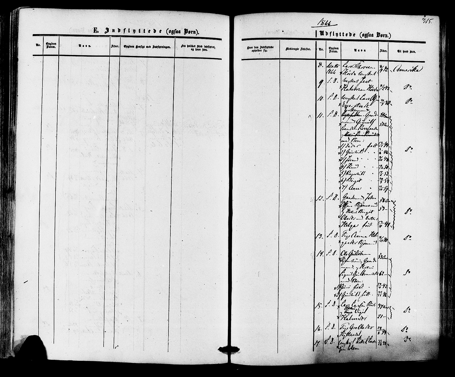 Nore kirkebøker, AV/SAKO-A-238/F/Fa/L0003: Parish register (official) no. I 3, 1858-1866, p. 315