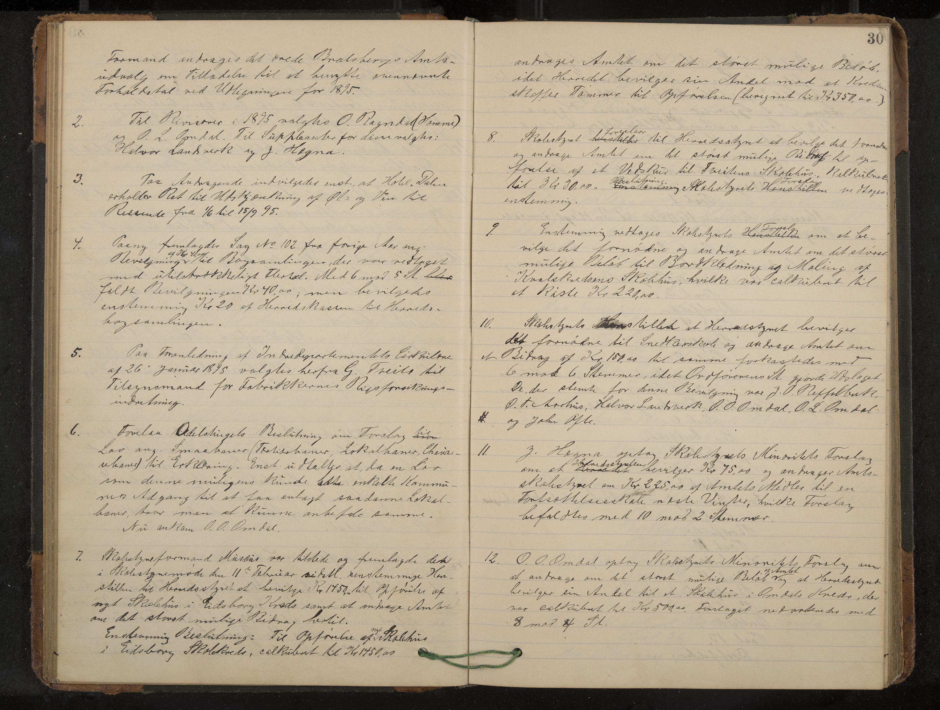 Lårdal formannskap og sentraladministrasjon, IKAK/0833021/A/L0003: Møtebok, 1893-1901, p. 30