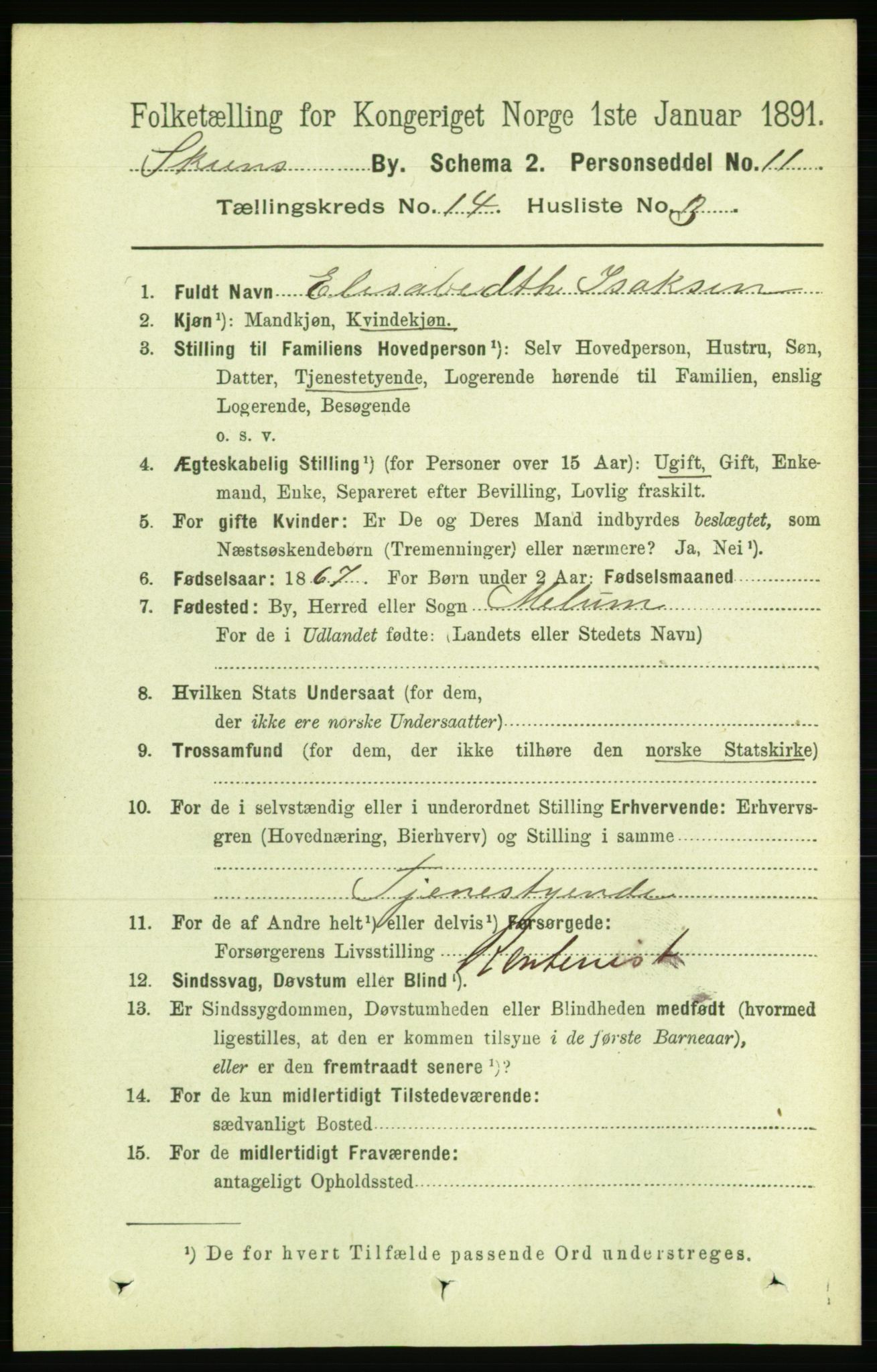 RA, 1891 census for 0806 Skien, 1891, p. 4299