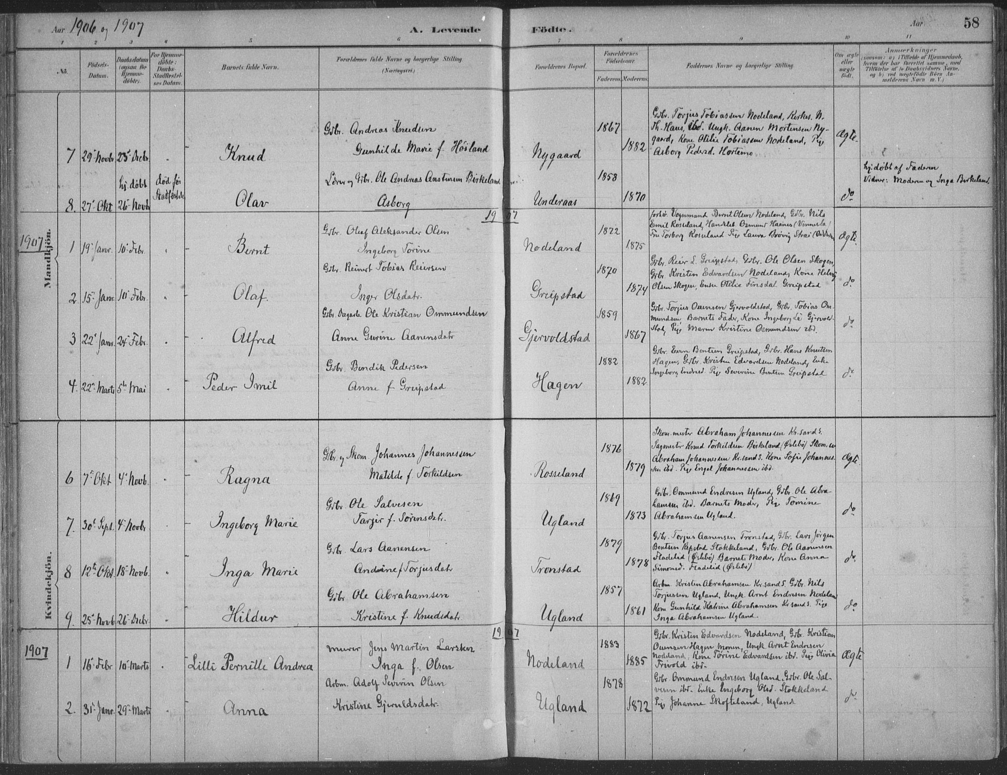 Søgne sokneprestkontor, AV/SAK-1111-0037/F/Fa/Faa/L0003: Parish register (official) no. A 3, 1883-1910, p. 58