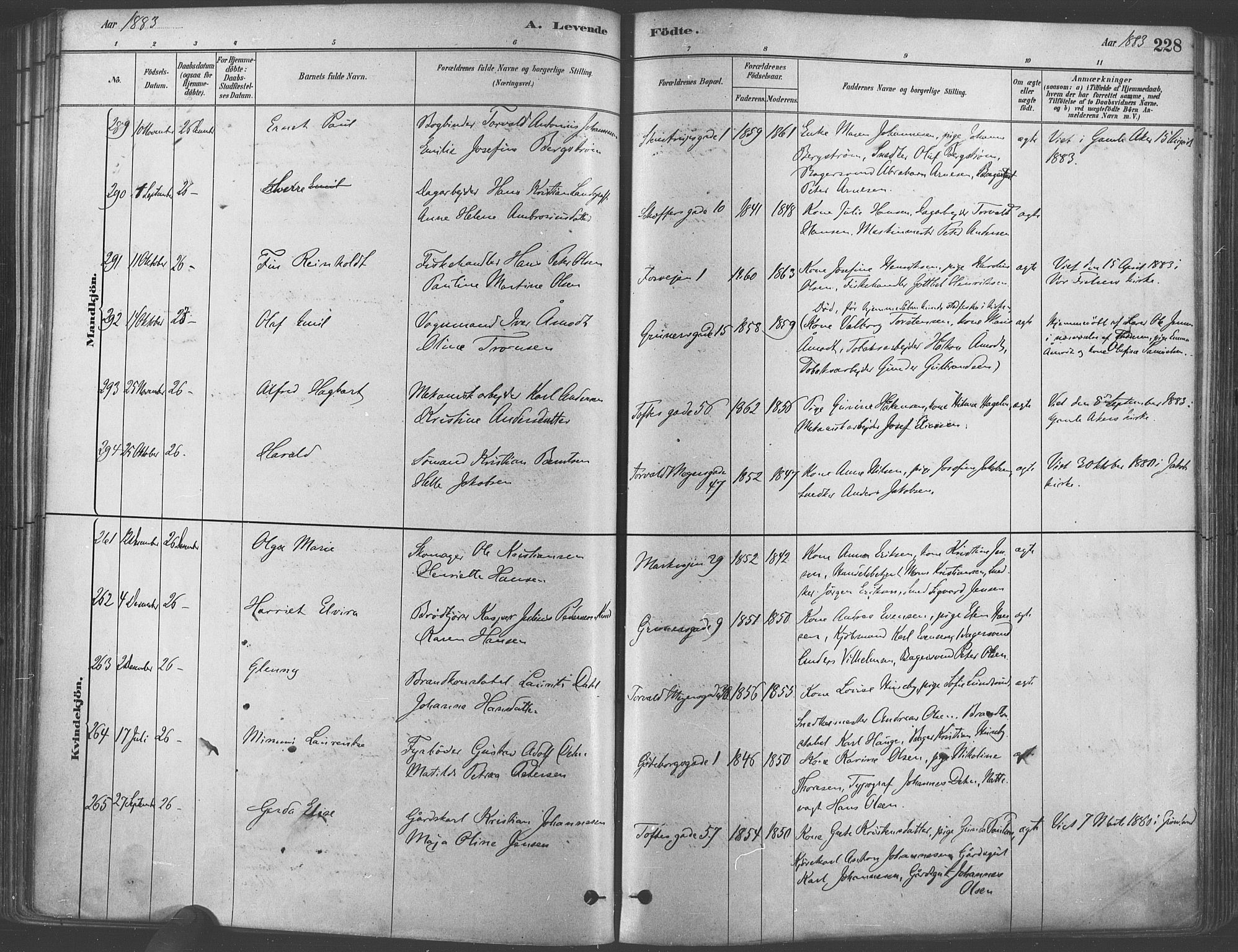 Paulus prestekontor Kirkebøker, AV/SAO-A-10871/F/Fa/L0003: Parish register (official) no. 3, 1879-1887, p. 228