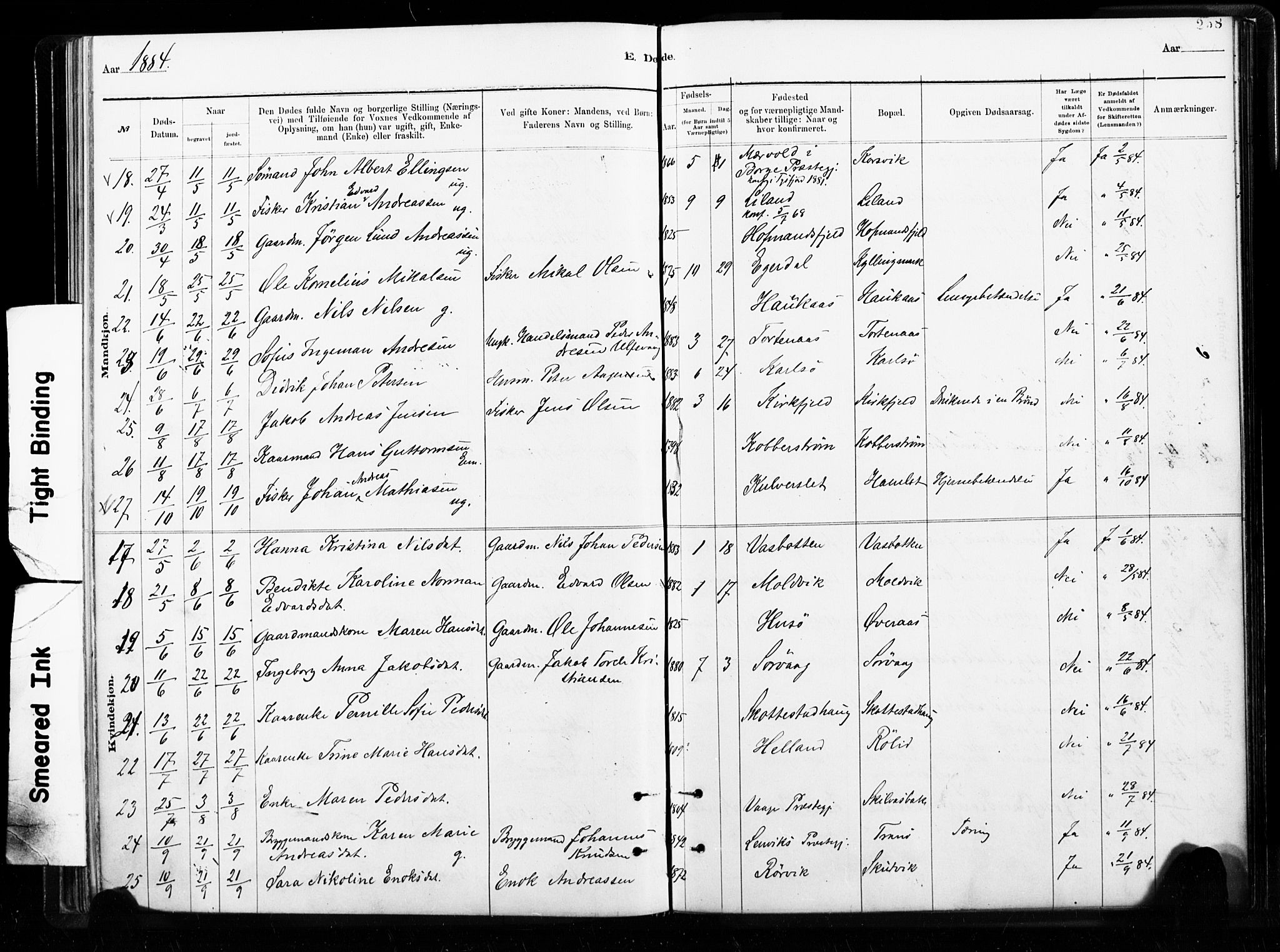 Ministerialprotokoller, klokkerbøker og fødselsregistre - Nordland, AV/SAT-A-1459/859/L0846: Parish register (official) no. 859A06, 1878-1889, p. 258