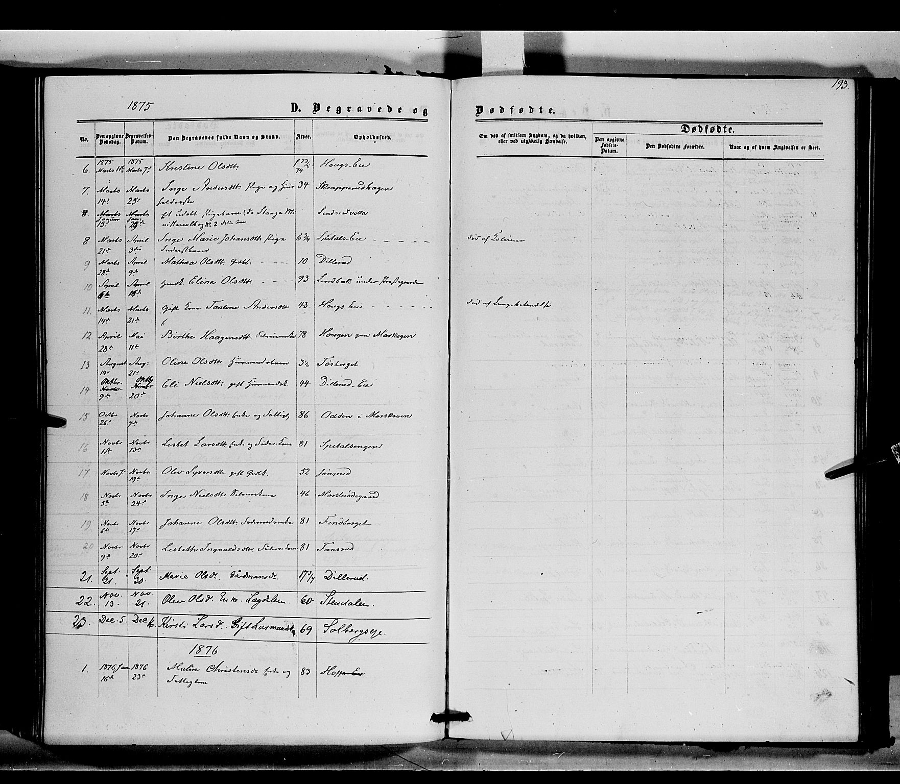 Stange prestekontor, SAH/PREST-002/K/L0014: Parish register (official) no. 14, 1862-1879, p. 193