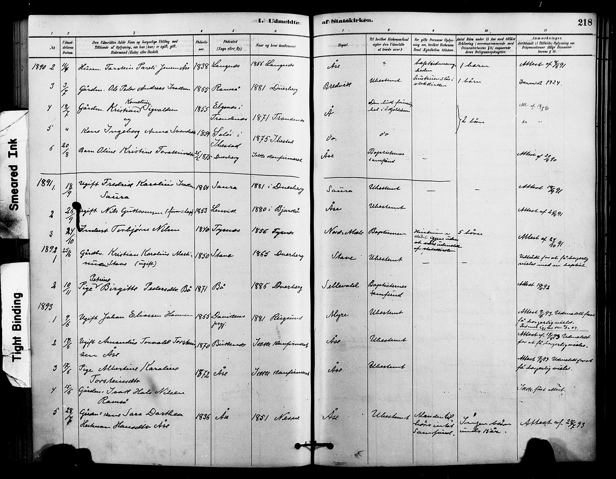 Ministerialprotokoller, klokkerbøker og fødselsregistre - Nordland, AV/SAT-A-1459/897/L1399: Parish register (official) no. 897C06, 1881-1896, p. 218