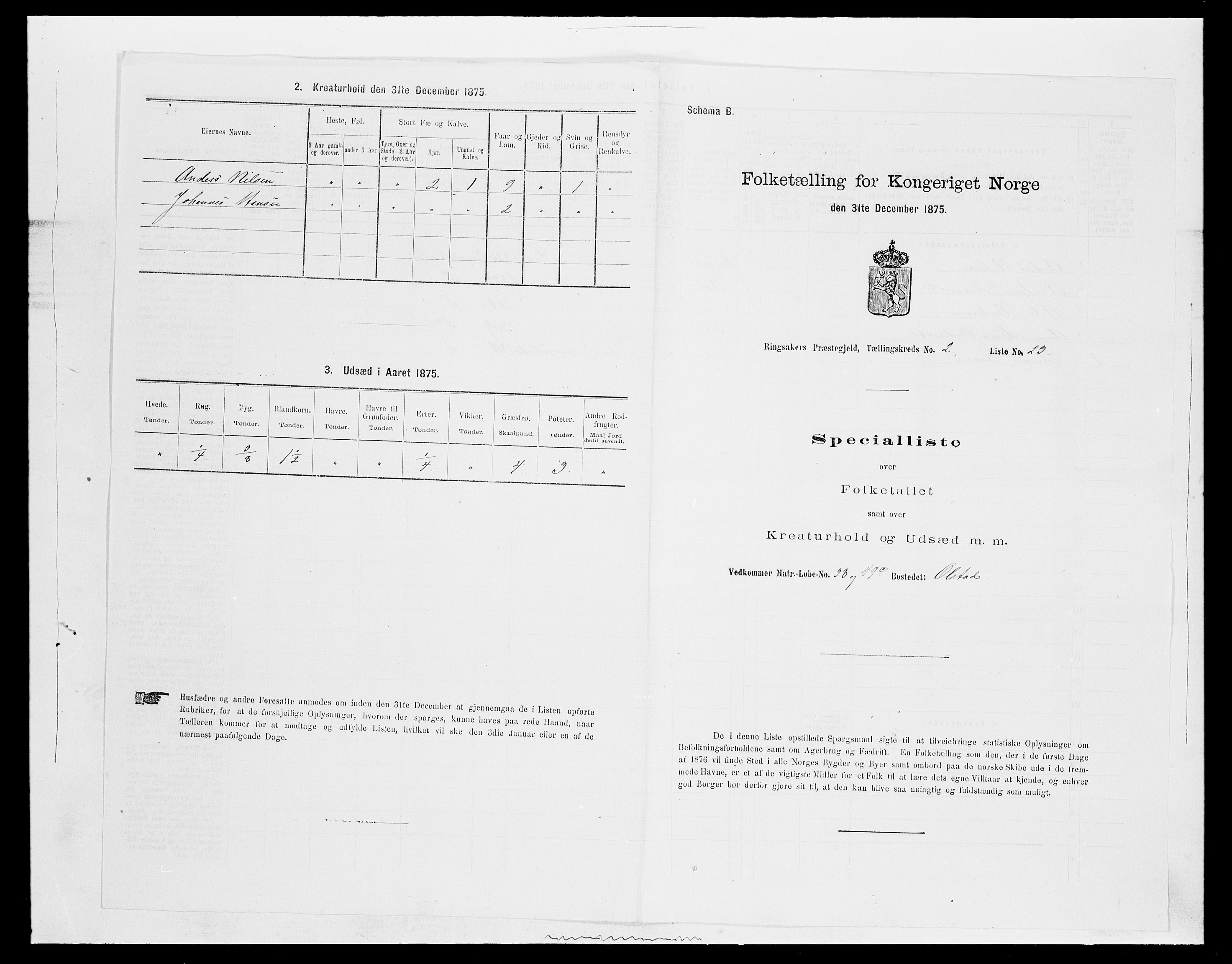 SAH, 1875 census for 0412P Ringsaker, 1875, p. 481