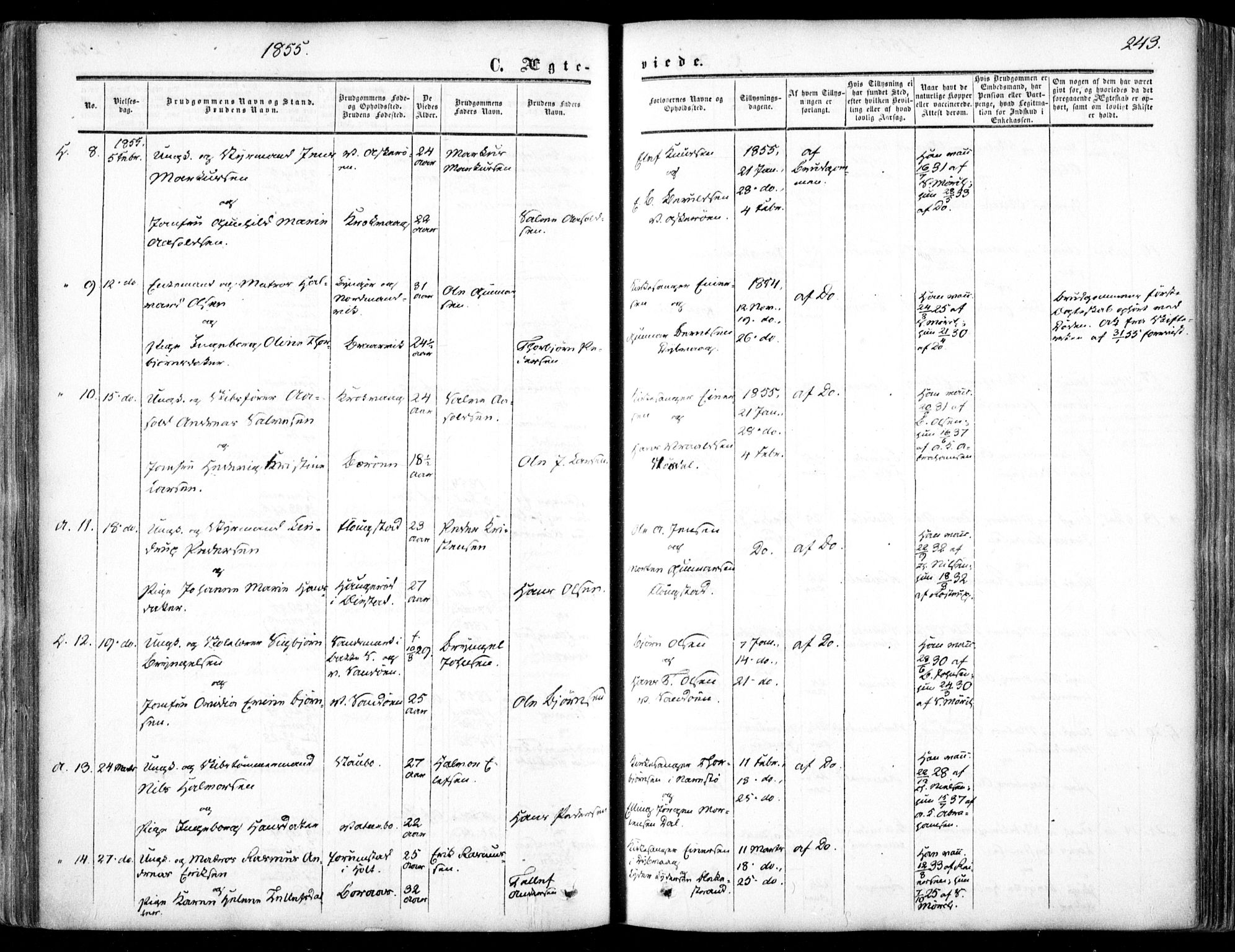 Dypvåg sokneprestkontor, AV/SAK-1111-0007/F/Fa/Faa/L0006: Parish register (official) no. A 6, 1855-1872, p. 243