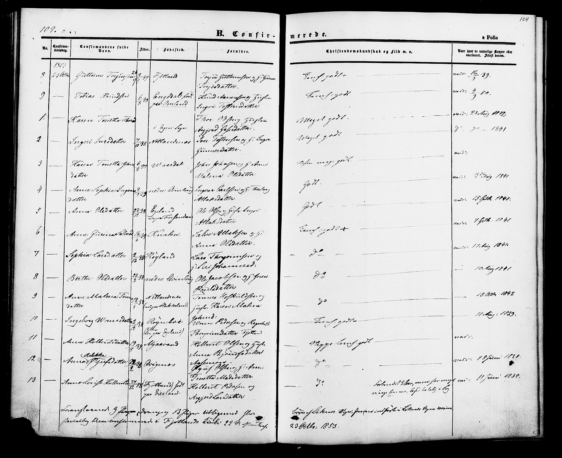 Fjotland sokneprestkontor, AV/SAK-1111-0010/F/Fa/L0001: Parish register (official) no. A 1, 1850-1879, p. 104