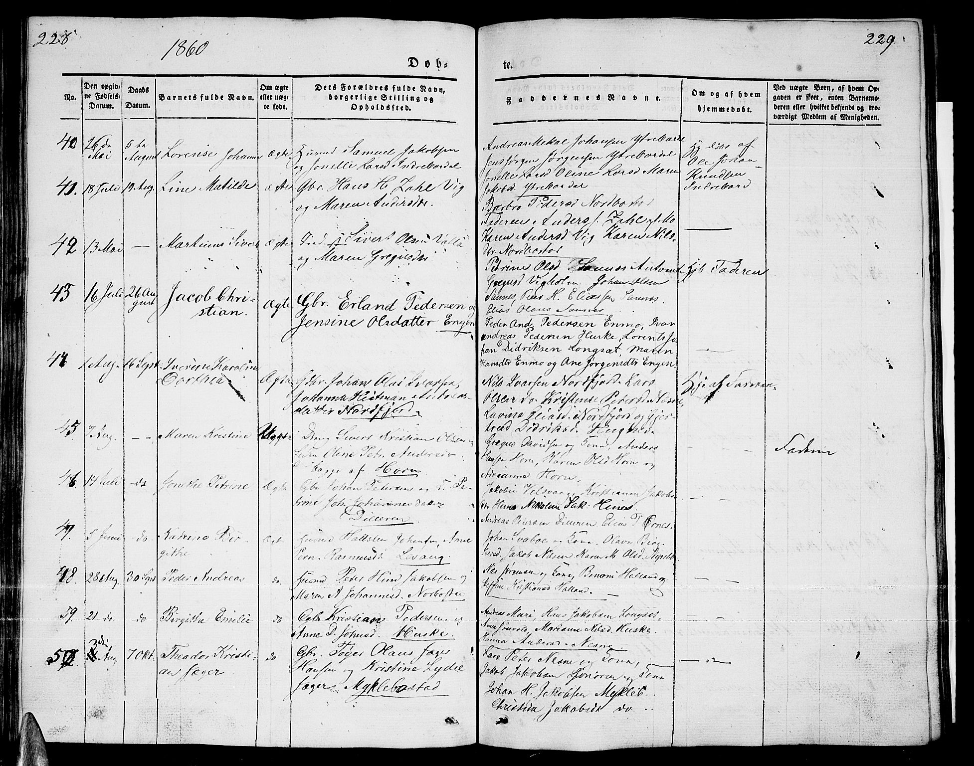 Ministerialprotokoller, klokkerbøker og fødselsregistre - Nordland, AV/SAT-A-1459/838/L0555: Parish register (copy) no. 838C02, 1842-1861, p. 228-229