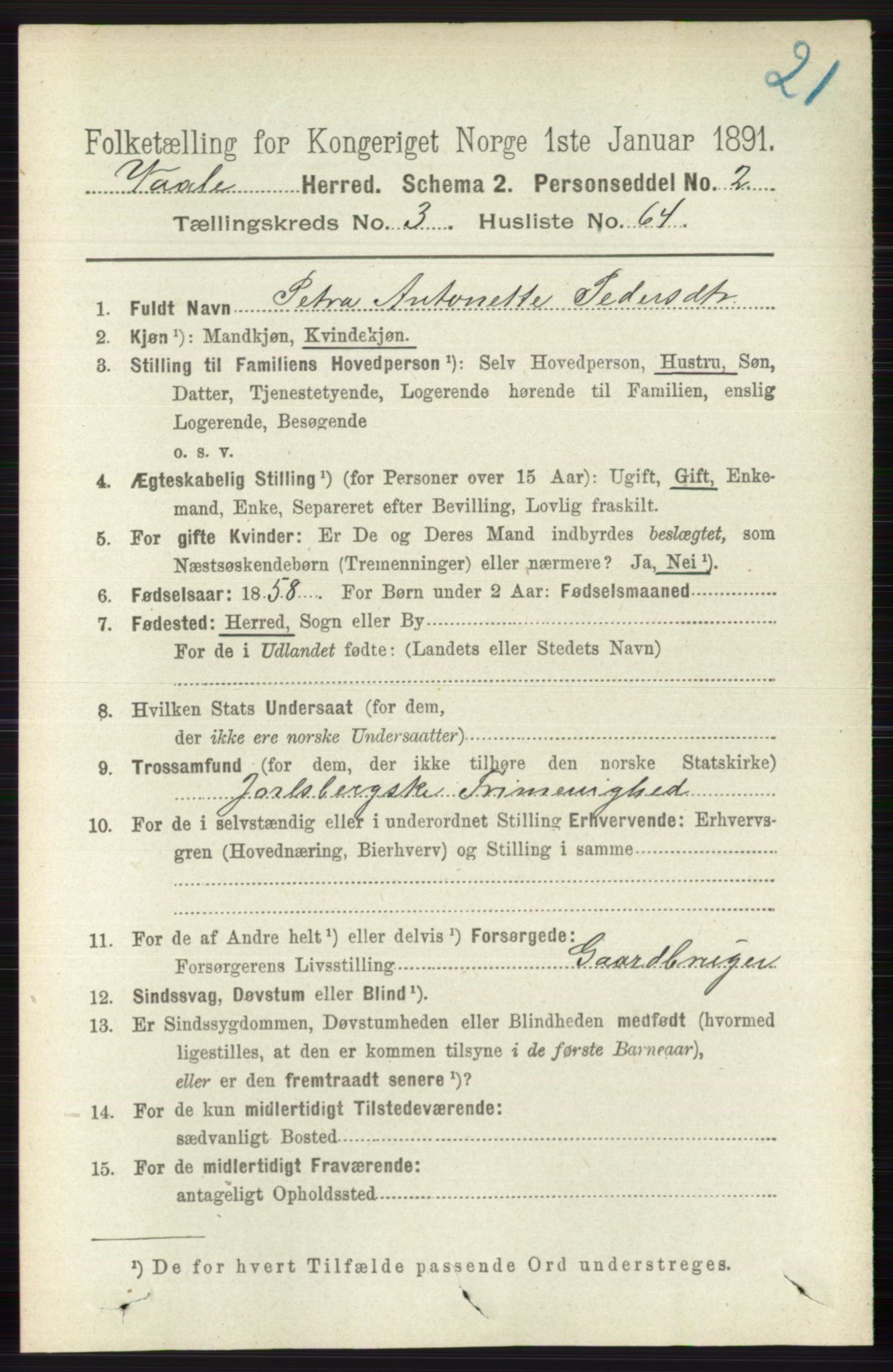 RA, 1891 census for 0716 Våle, 1891, p. 913