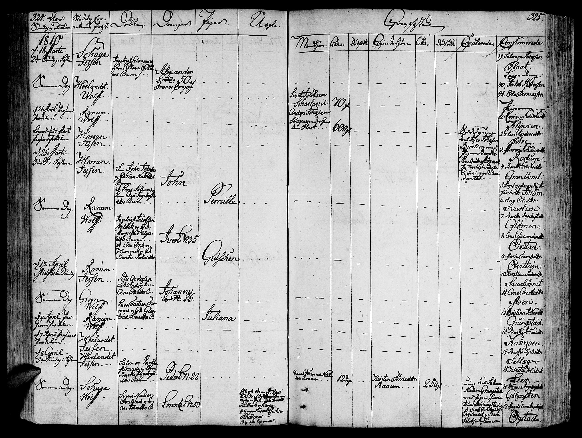 Ministerialprotokoller, klokkerbøker og fødselsregistre - Nord-Trøndelag, AV/SAT-A-1458/764/L0545: Parish register (official) no. 764A05, 1799-1816, p. 324-325