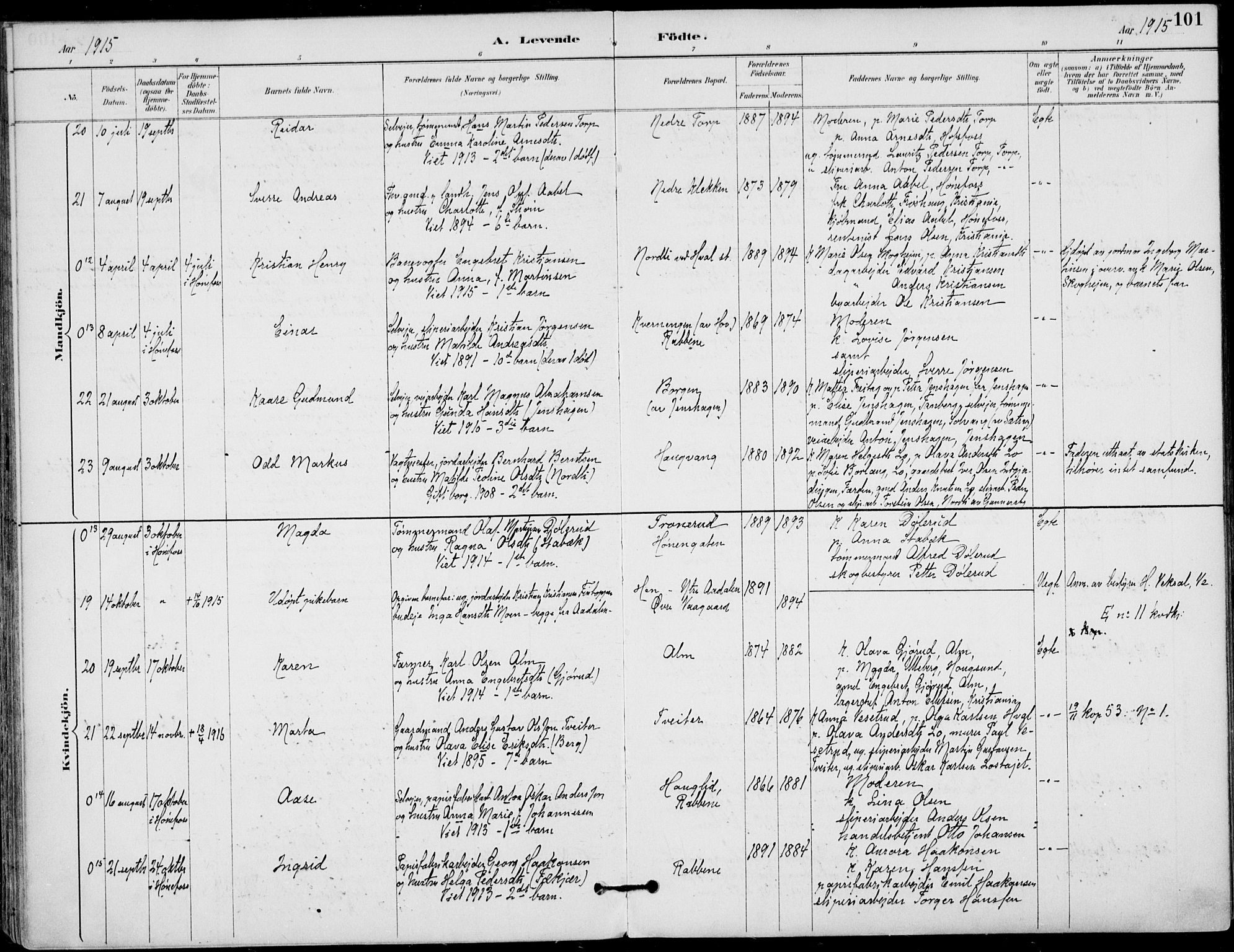 Haug kirkebøker, AV/SAKO-A-604/F/Fa/L0001: Parish register (official) no. 1, 1885-1917, p. 101