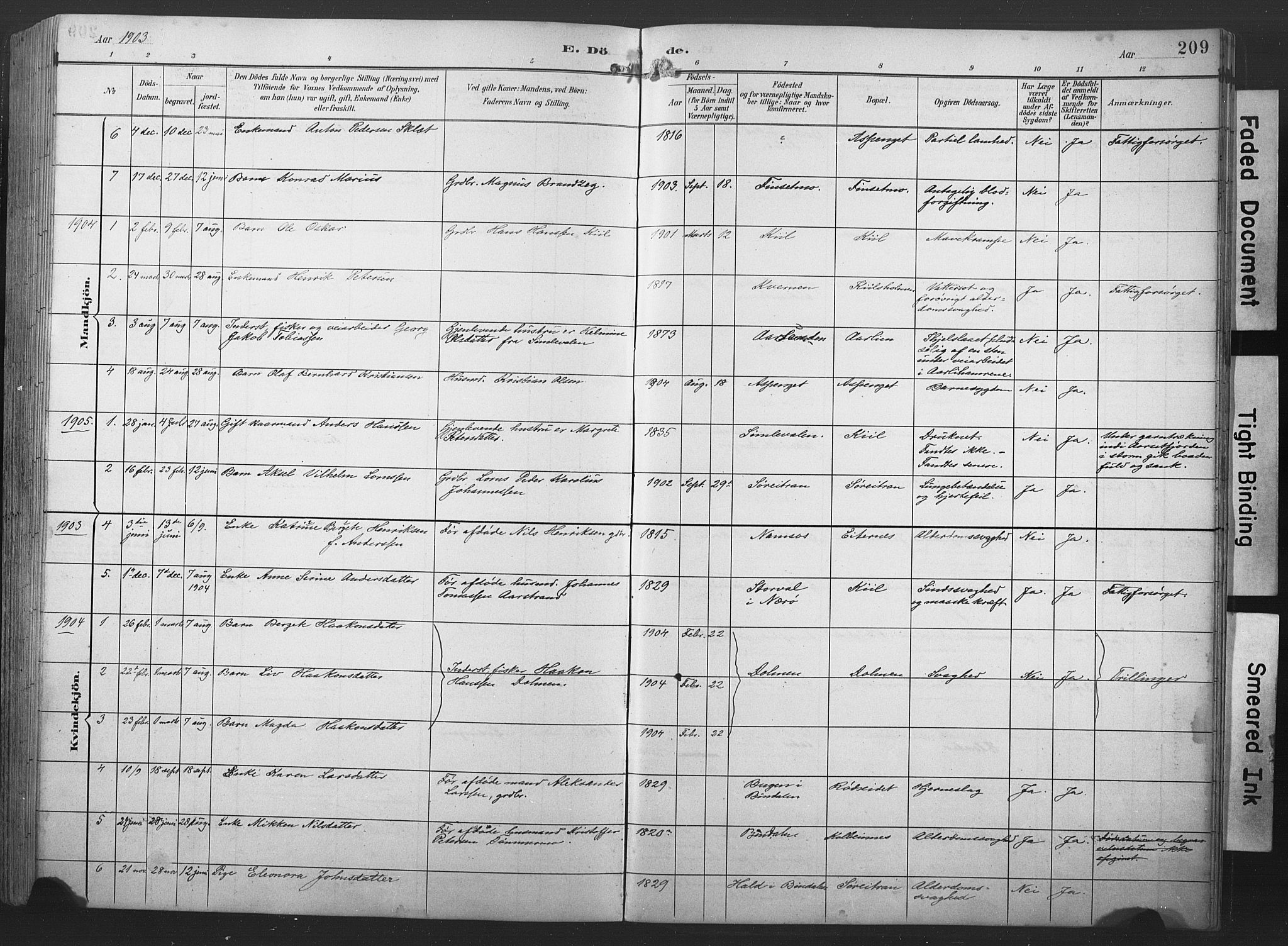 Ministerialprotokoller, klokkerbøker og fødselsregistre - Nord-Trøndelag, SAT/A-1458/789/L0706: Parish register (copy) no. 789C01, 1888-1931, p. 209
