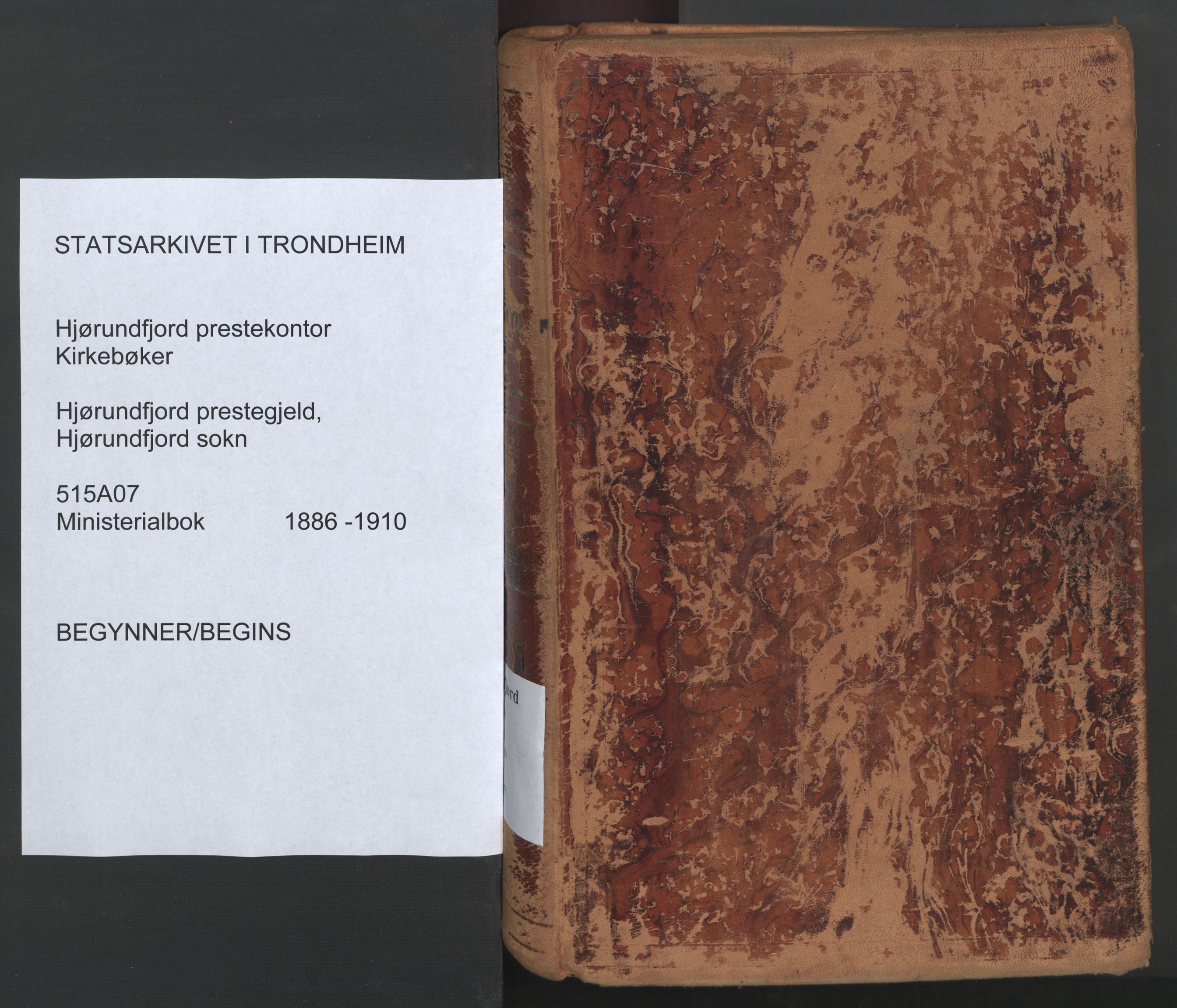 Ministerialprotokoller, klokkerbøker og fødselsregistre - Møre og Romsdal, SAT/A-1454/515/L0211: Parish register (official) no. 515A07, 1886-1910