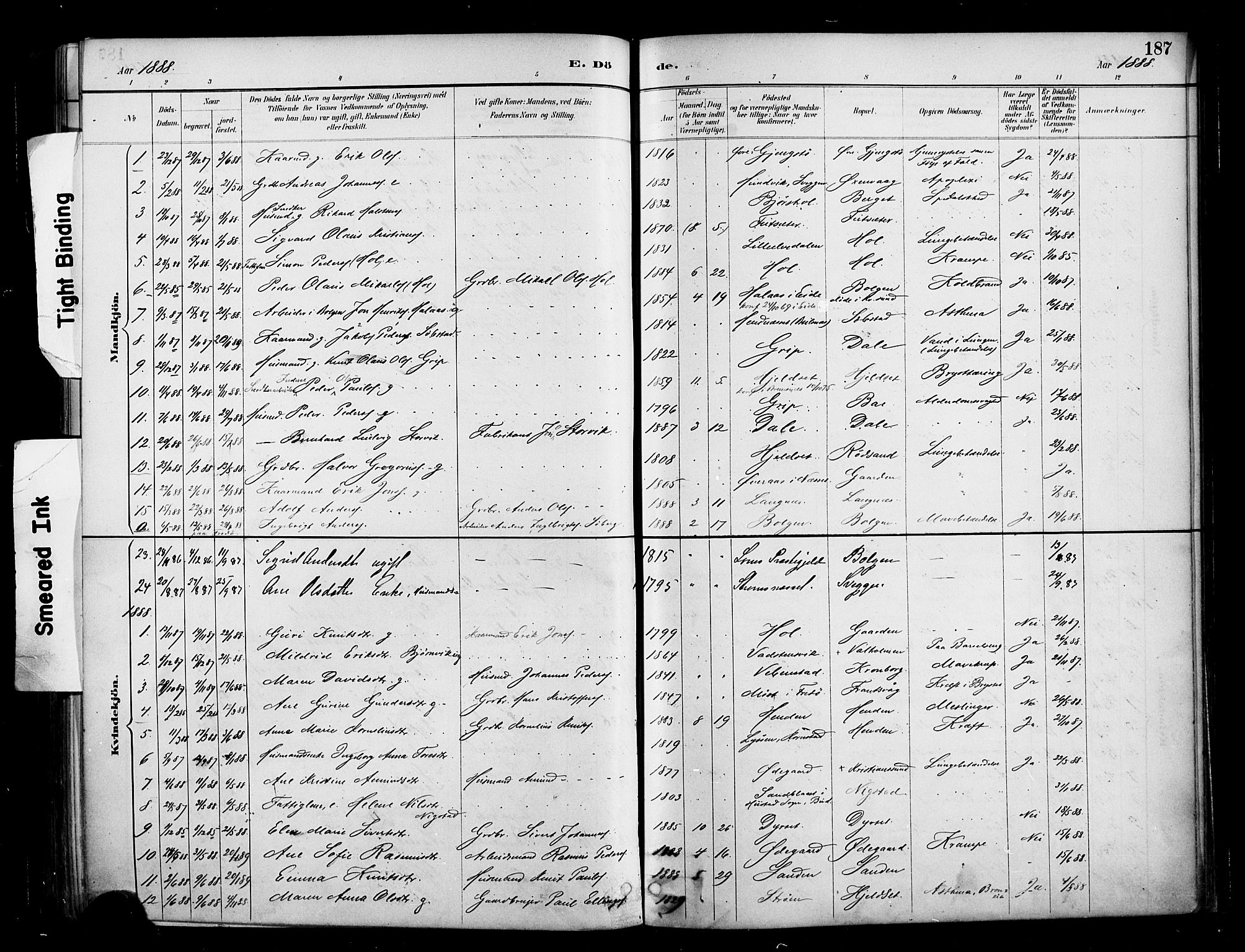 Ministerialprotokoller, klokkerbøker og fødselsregistre - Møre og Romsdal, SAT/A-1454/569/L0819: Parish register (official) no. 569A05, 1885-1899, p. 187