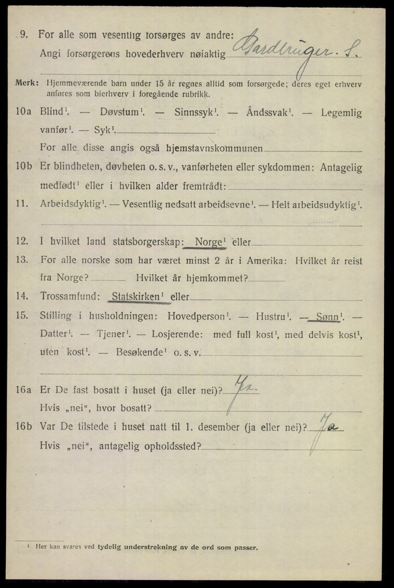 SAKO, 1920 census for Nes (Buskerud), 1920, p. 4323