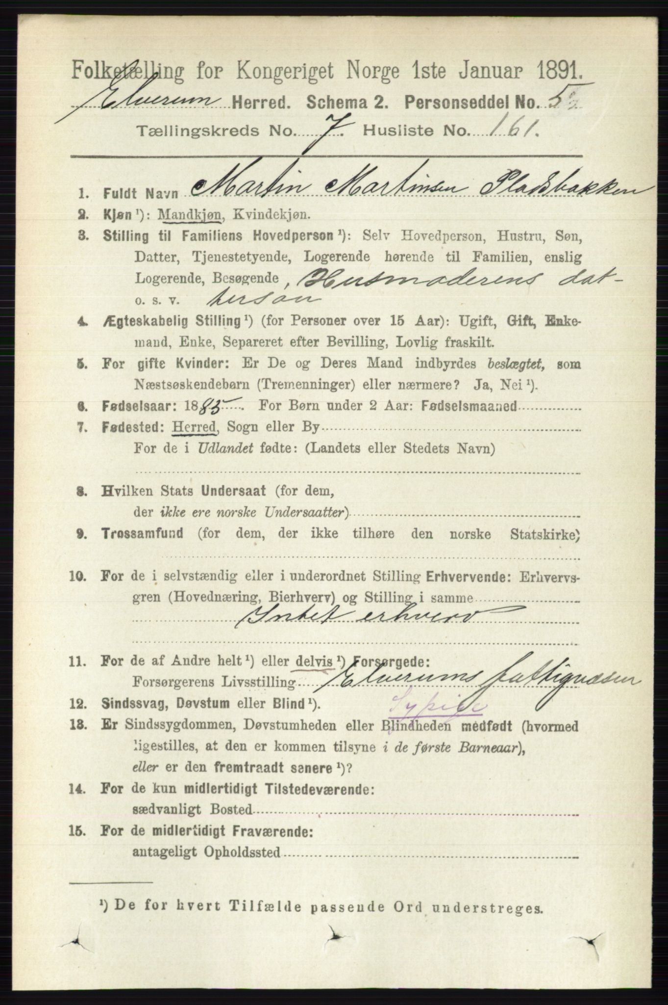 RA, 1891 census for 0427 Elverum, 1891, p. 6591