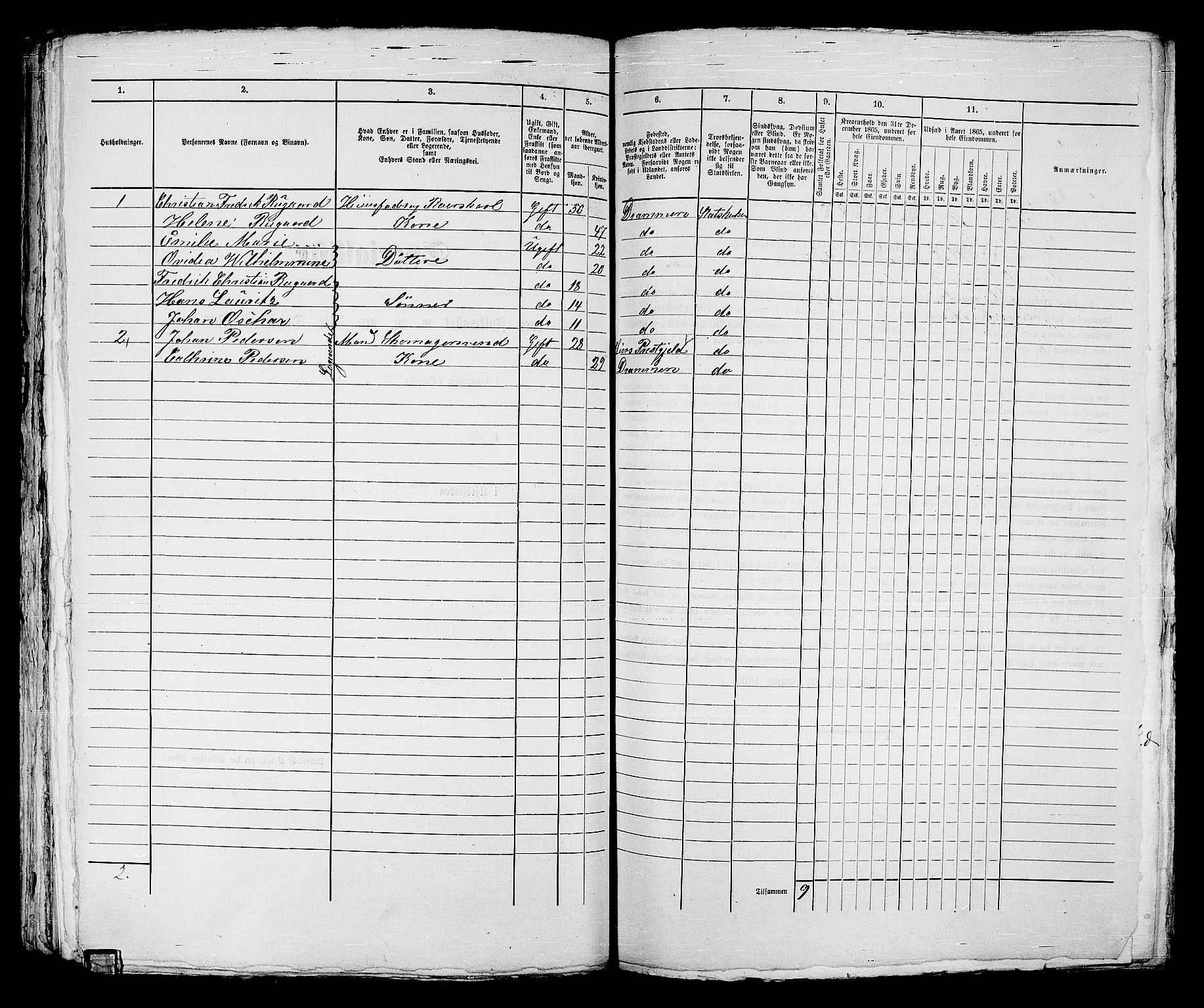 RA, 1865 census for Strømsø in Drammen, 1865, p. 310