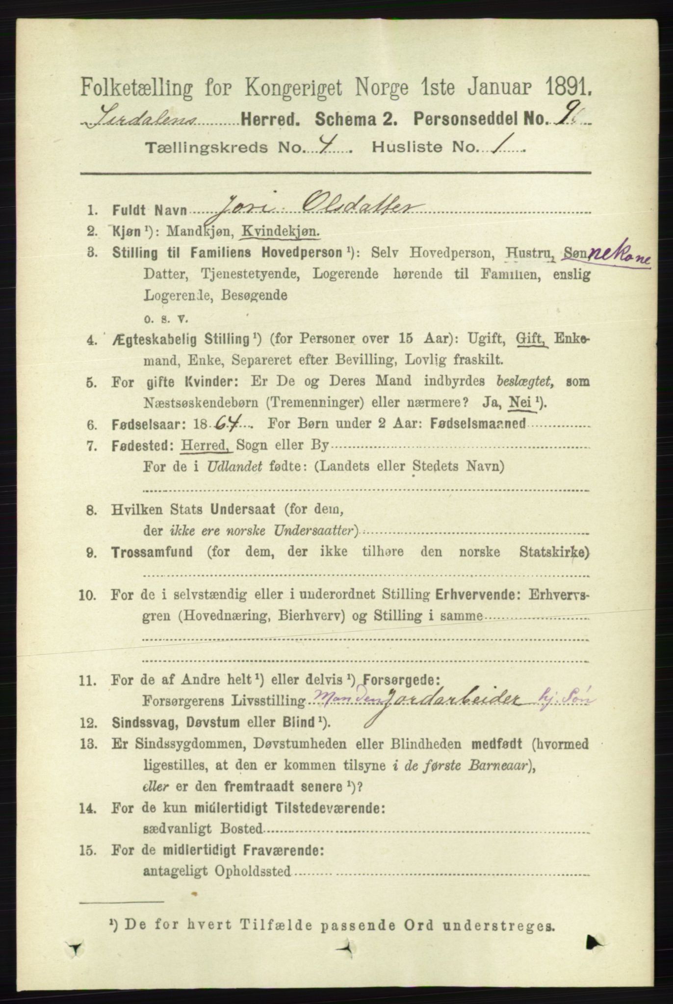 RA, 1891 census for 1046 Sirdal, 1891, p. 943