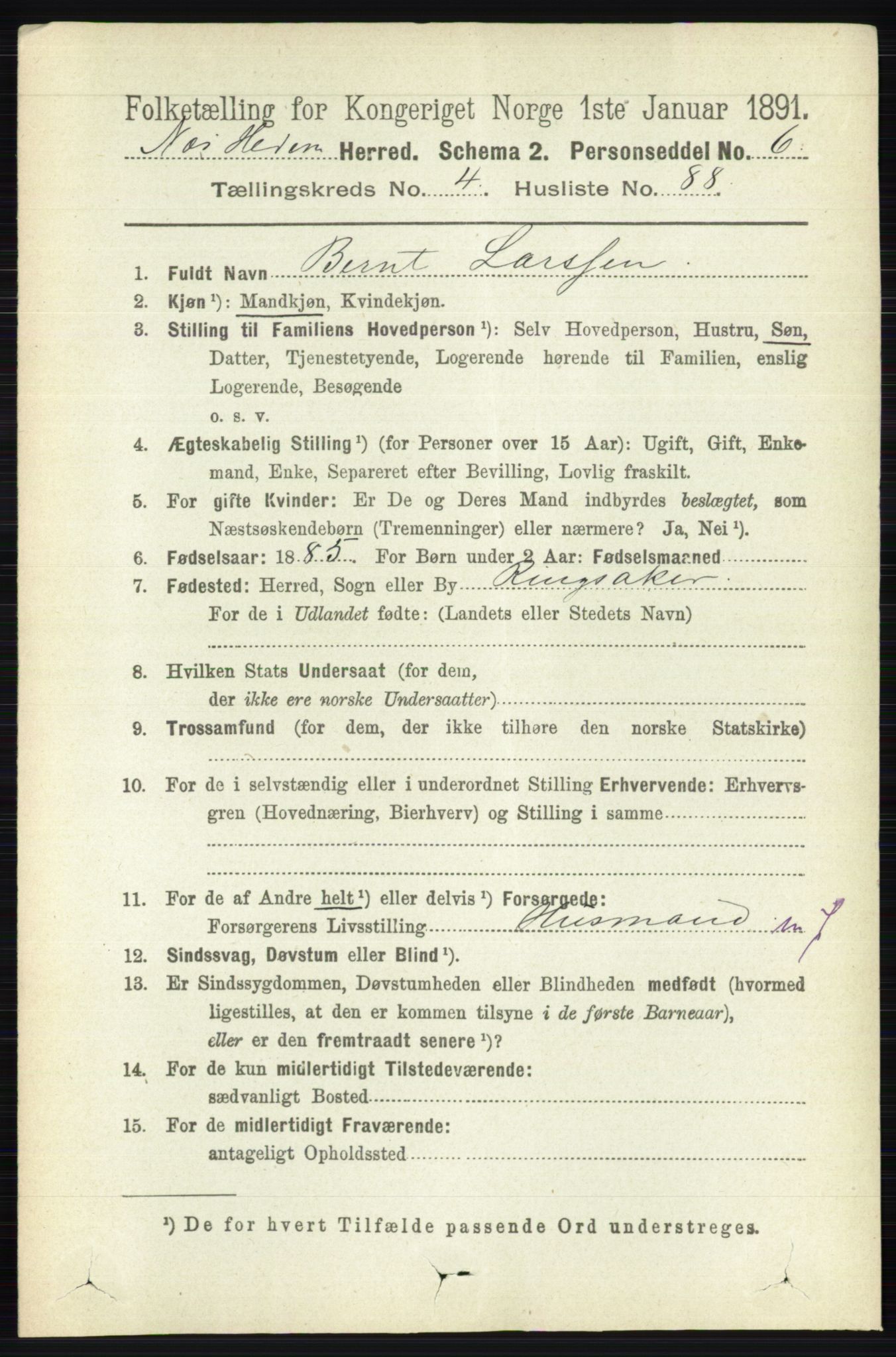 RA, 1891 census for 0411 Nes, 1891, p. 2516